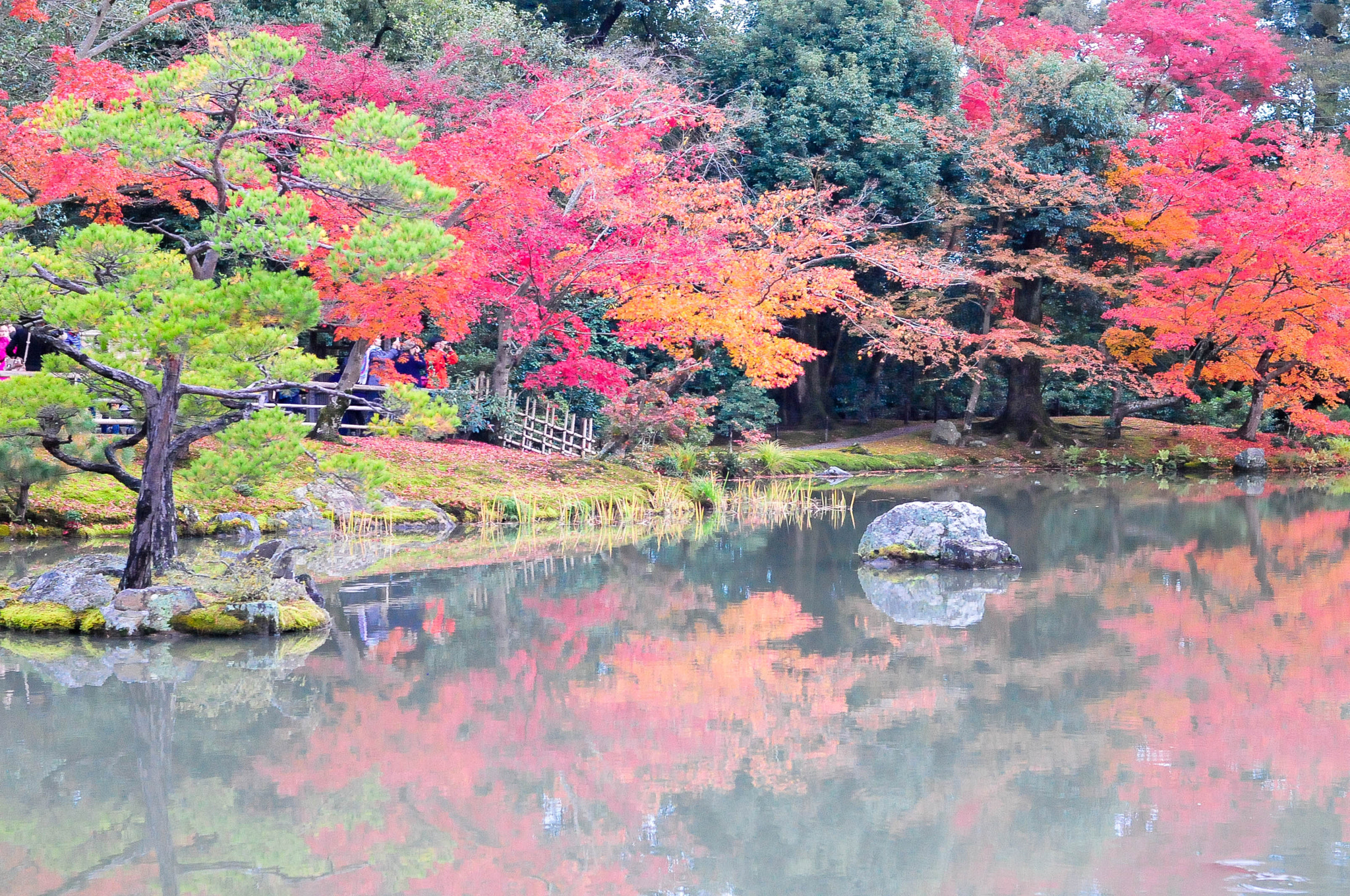 Nikon D300S + Nikon AF Nikkor 50mm F1.4D sample photo. Kyoto autumn romance photography