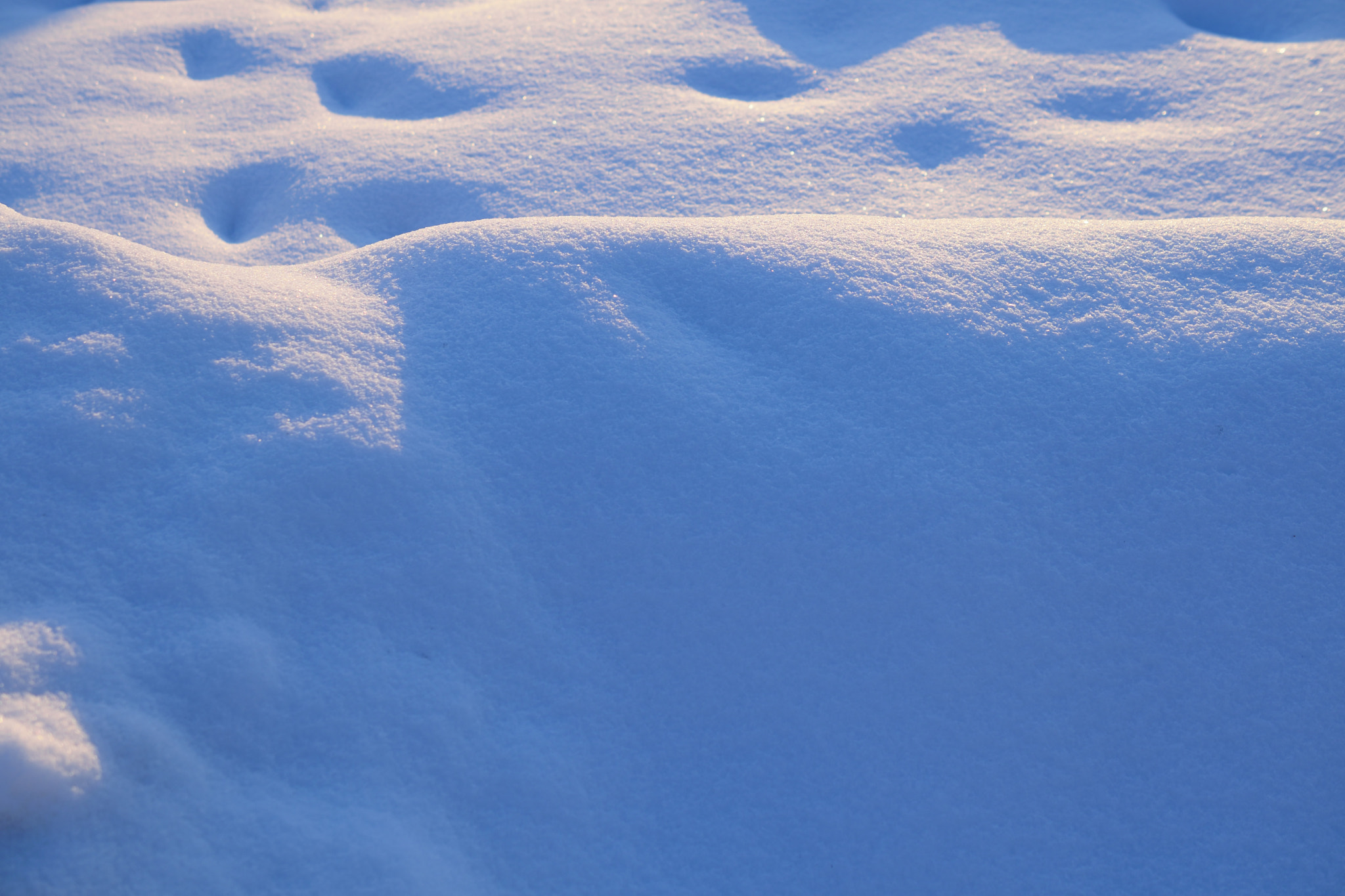 Nikon AF-S DX Micro Nikkor 40mm F2.8 sample photo. Snow photography