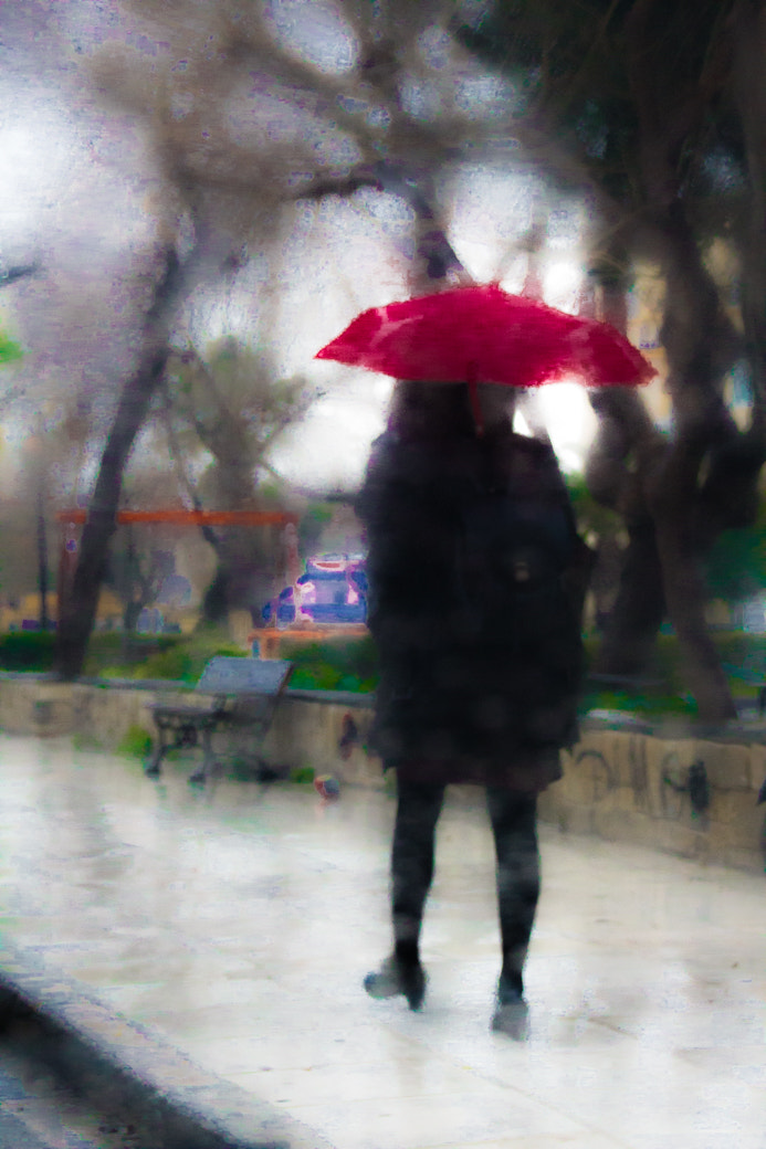 Sigma 18-250mm F3.5-6.3 DC OS HSM sample photo. Walking in the rain photography