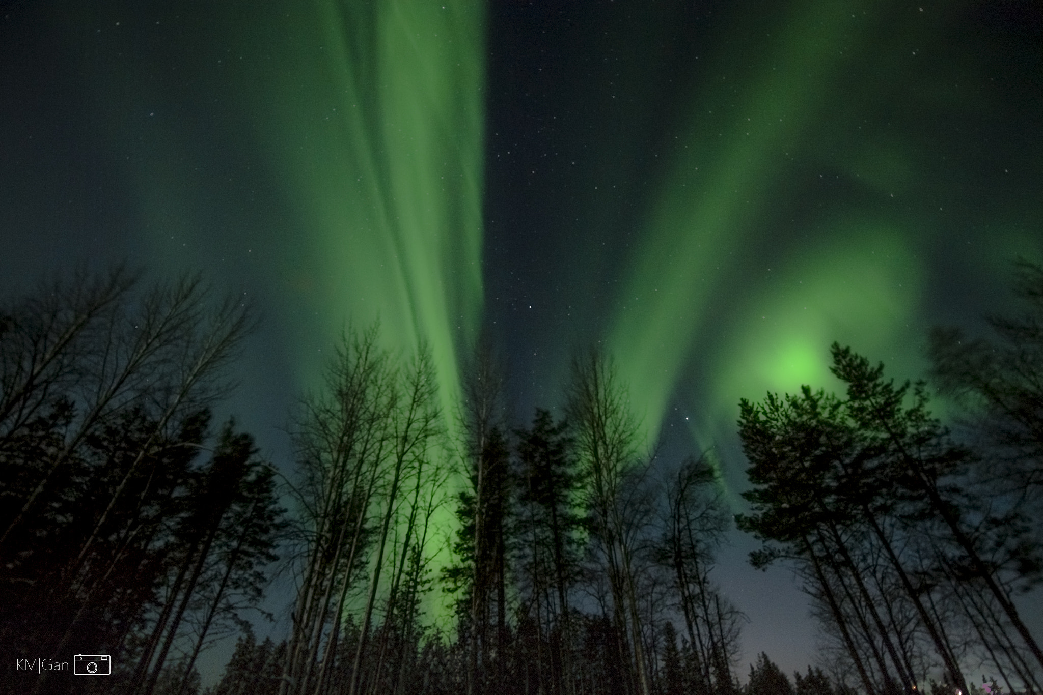 Nikon D5 sample photo. Chasing aurora in finland... photography