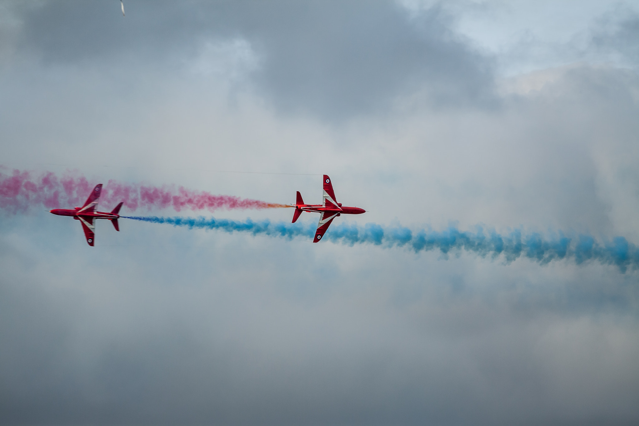 Canon EOS 50D + Canon EF 70-200mm F4L USM sample photo. Red arrows photography