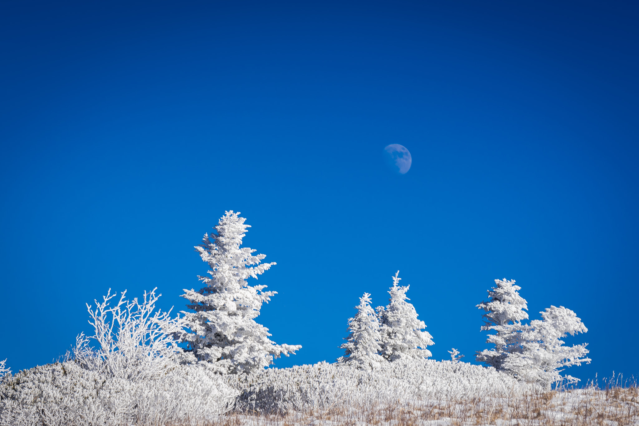 Tamron SP 70-200mm F2.8 Di VC USD sample photo. Full moon over roan mountain photography