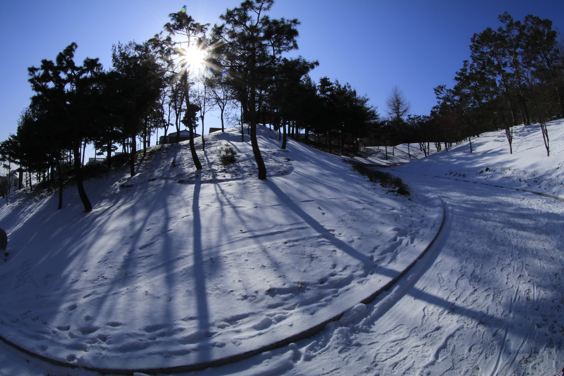 Canon EOS 80D sample photo. Snow winter photography