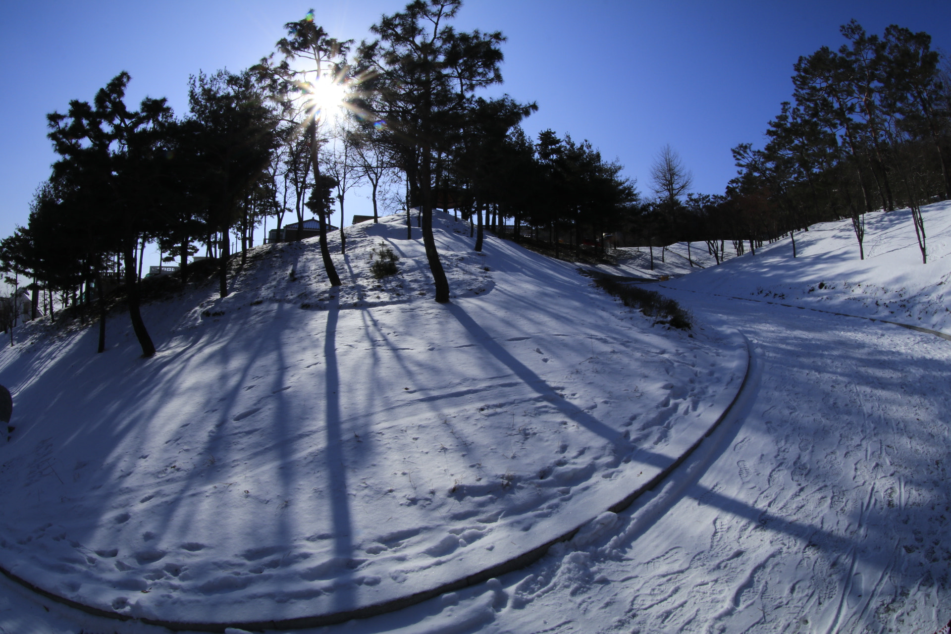 Canon EOS 80D + Canon EF 8-15mm F4L Fisheye USM sample photo. Snow winter photography