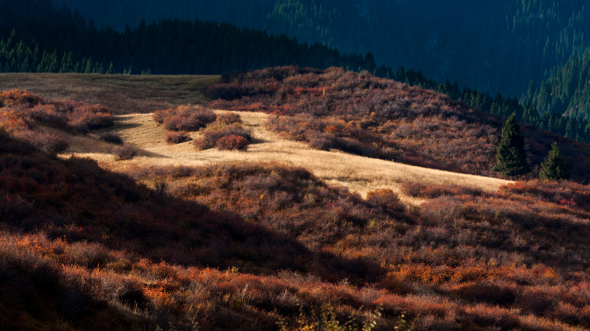 Canon EF 70-200mm F2.8L USM sample photo. Tianshan photography