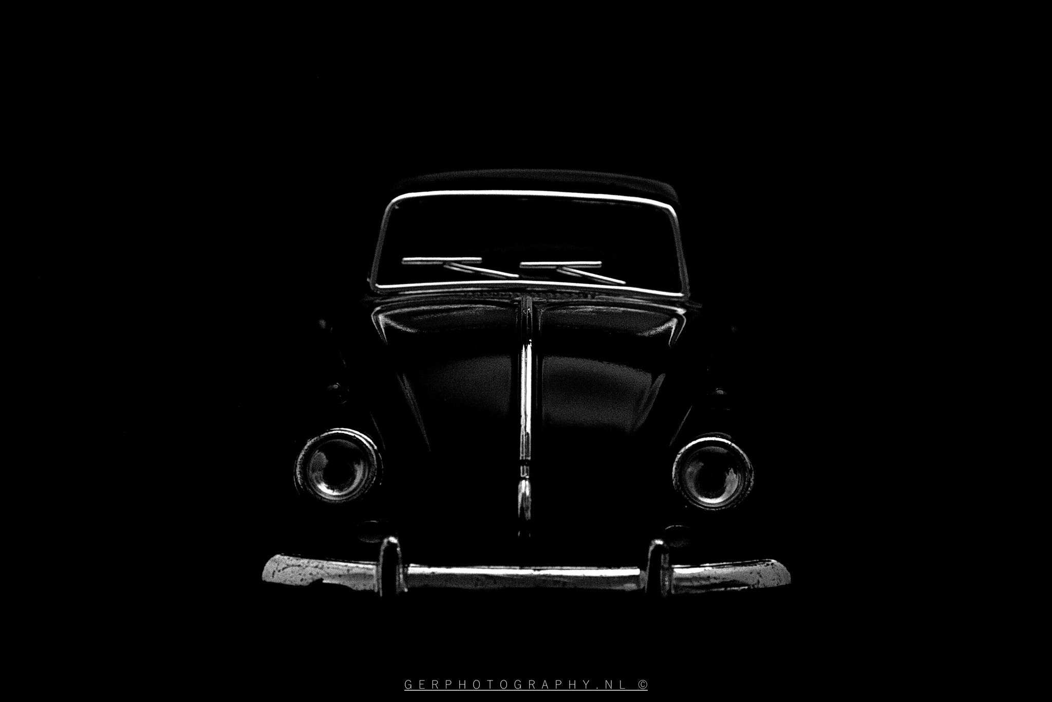 Canon EF-S 18-55mm F3.5-5.6 II sample photo. Beetle photography