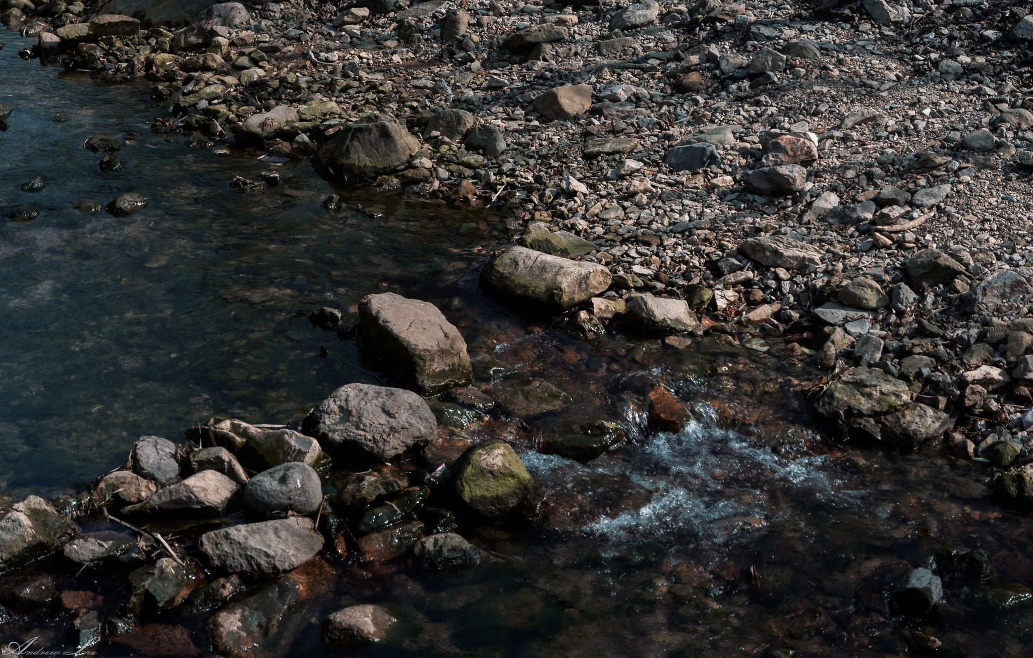 Pentax K-50 sample photo