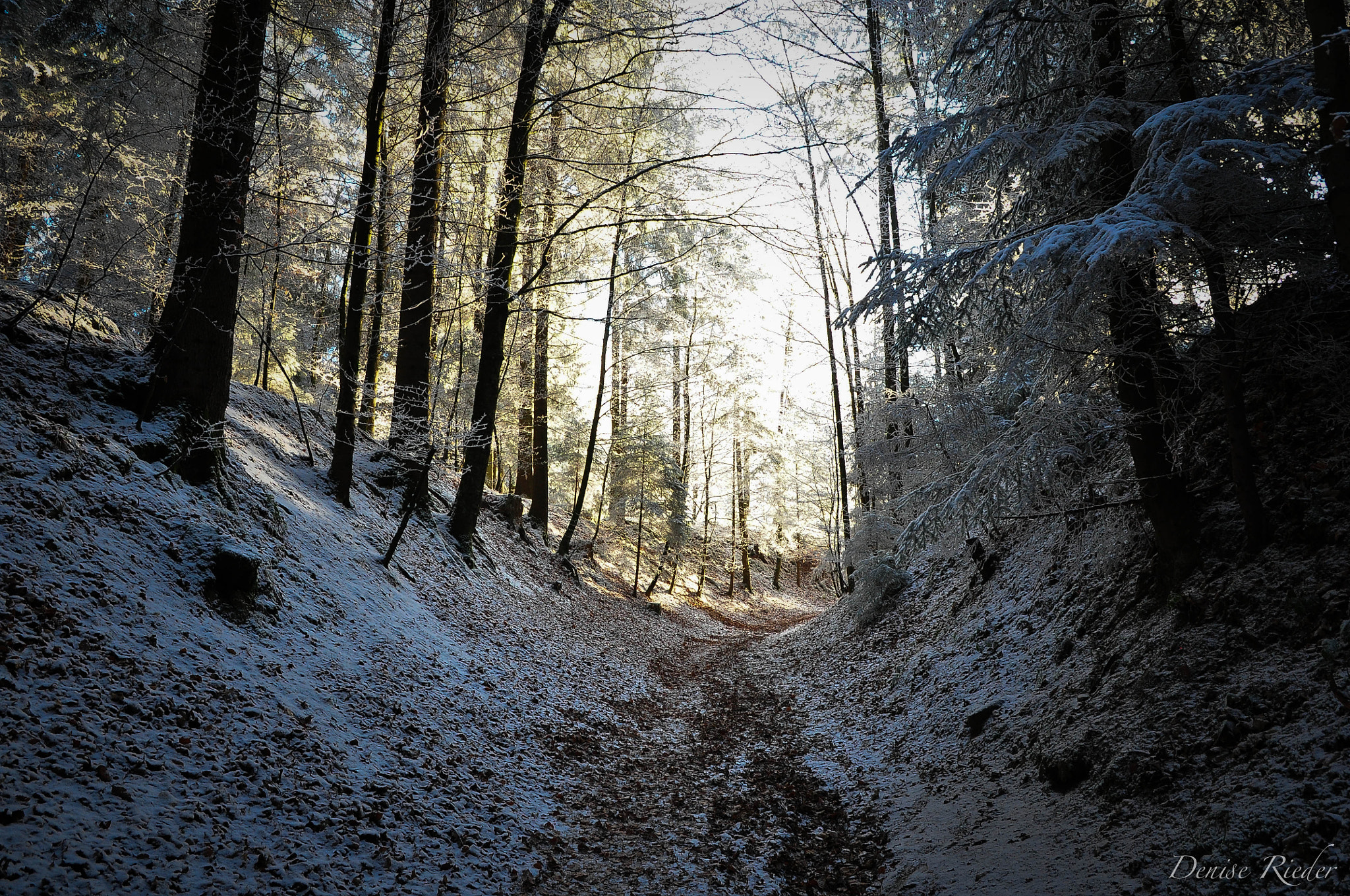 Nikon D5000 sample photo. Frienisberg photography