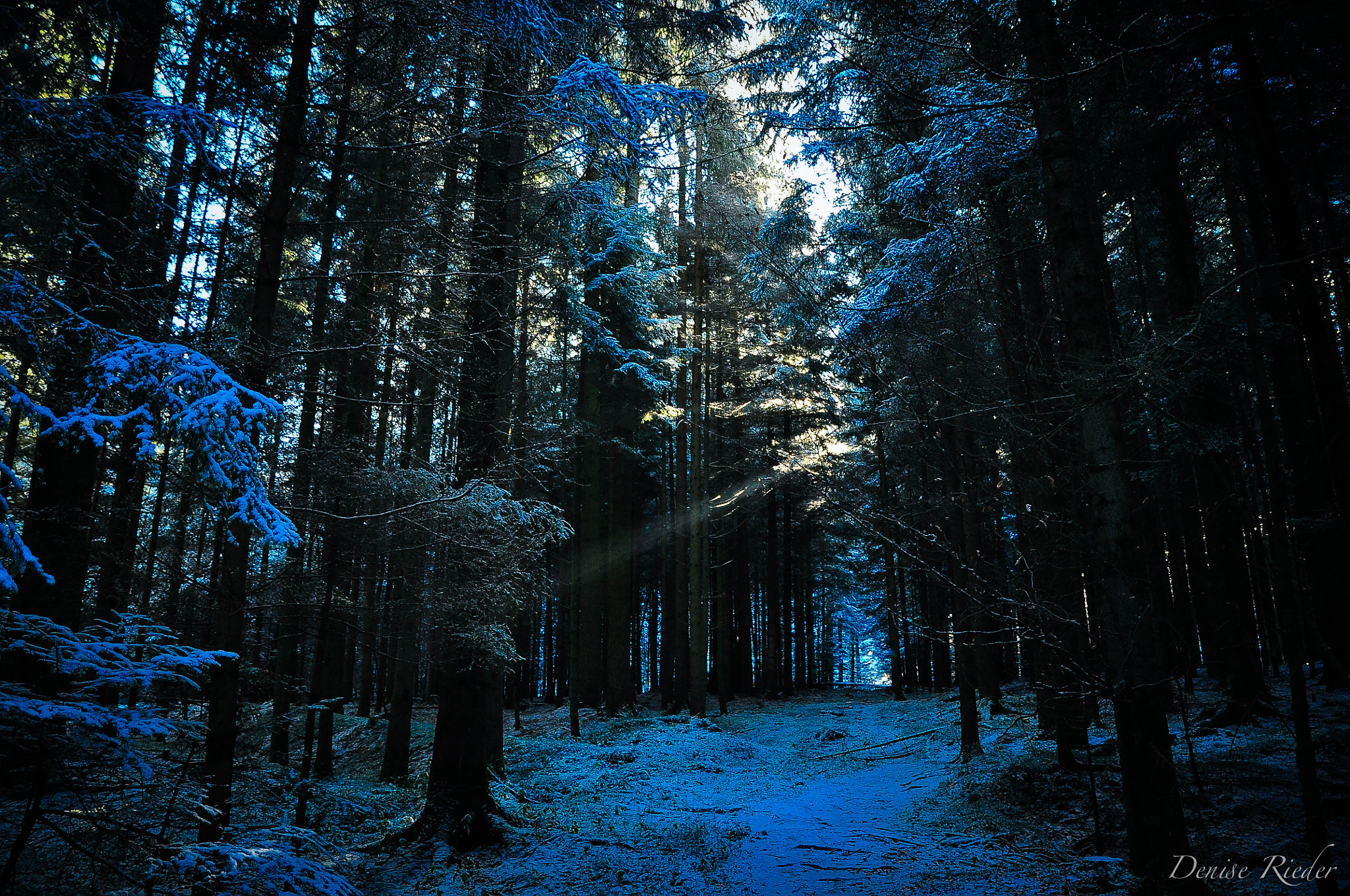 Nikon D5000 sample photo. Frienisberg photography
