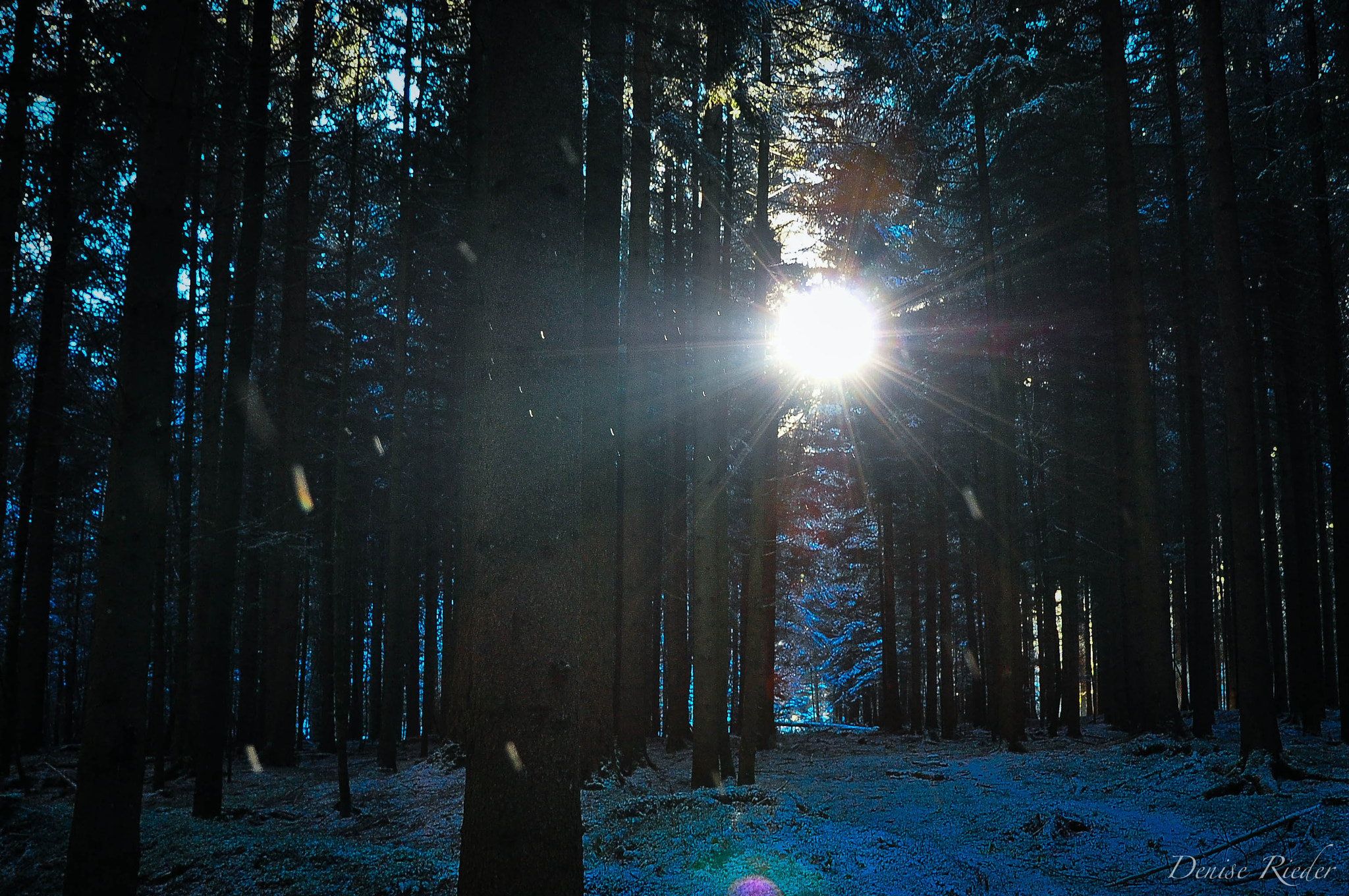 Nikon D5000 sample photo. Frienisberg photography