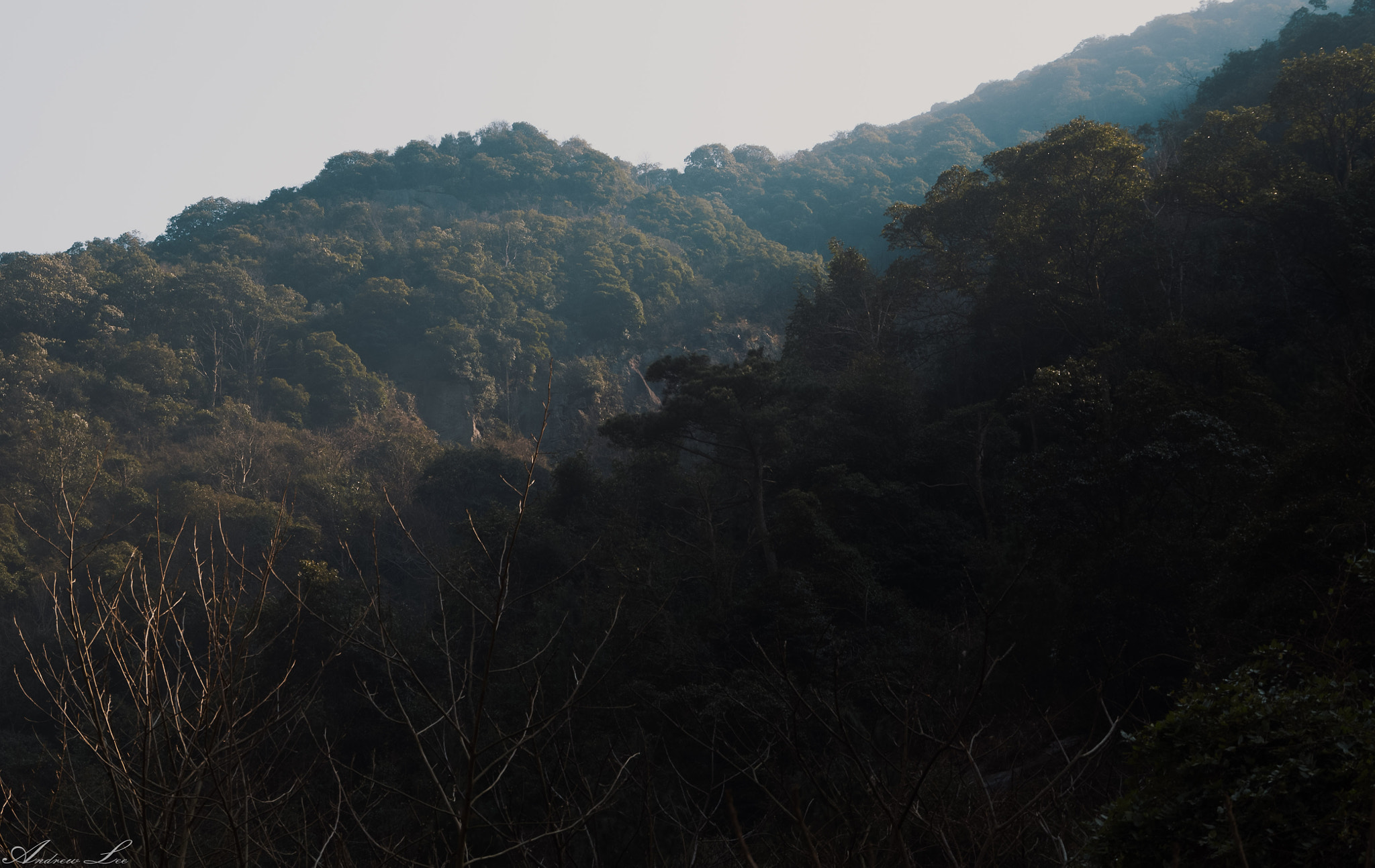 Pentax K-50 sample photo