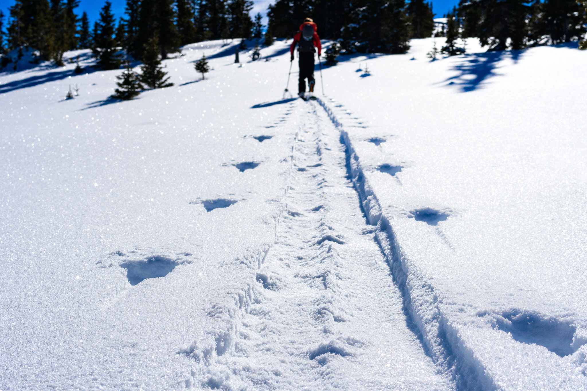 Sony a6300 sample photo. Skinning up mountain backcountry skiing photography