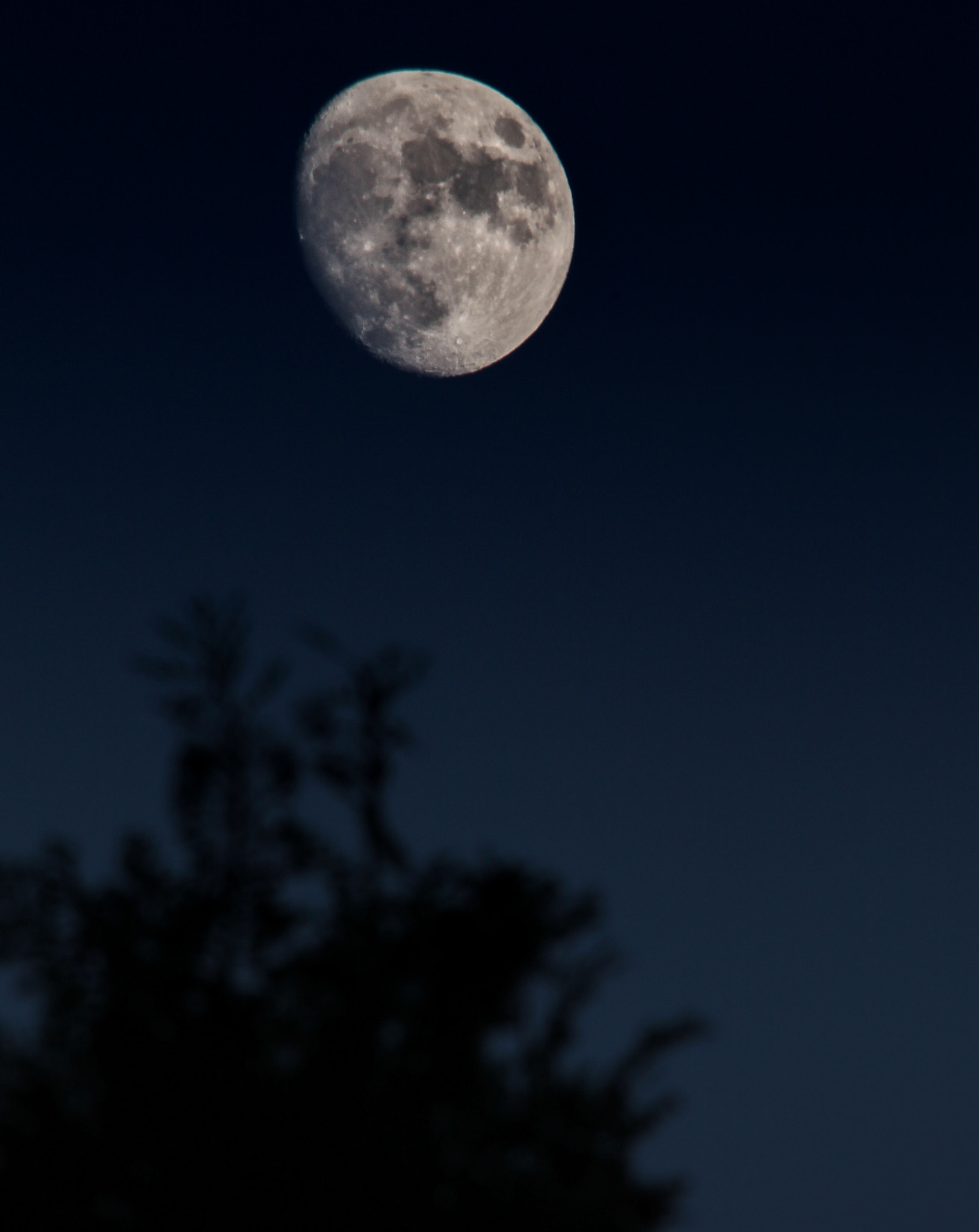 Sigma 150-500mm F5-6.3 DG OS HSM sample photo
