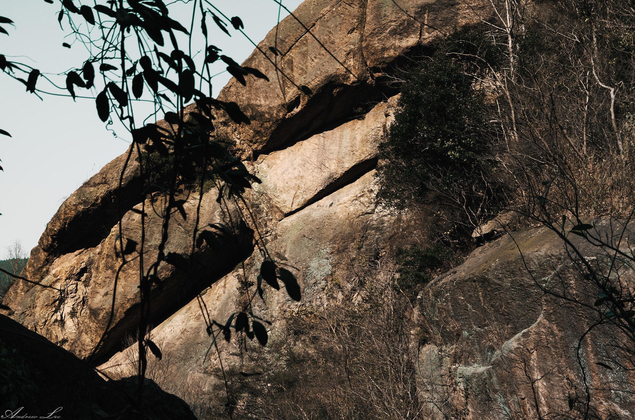 Pentax K-50 sample photo
