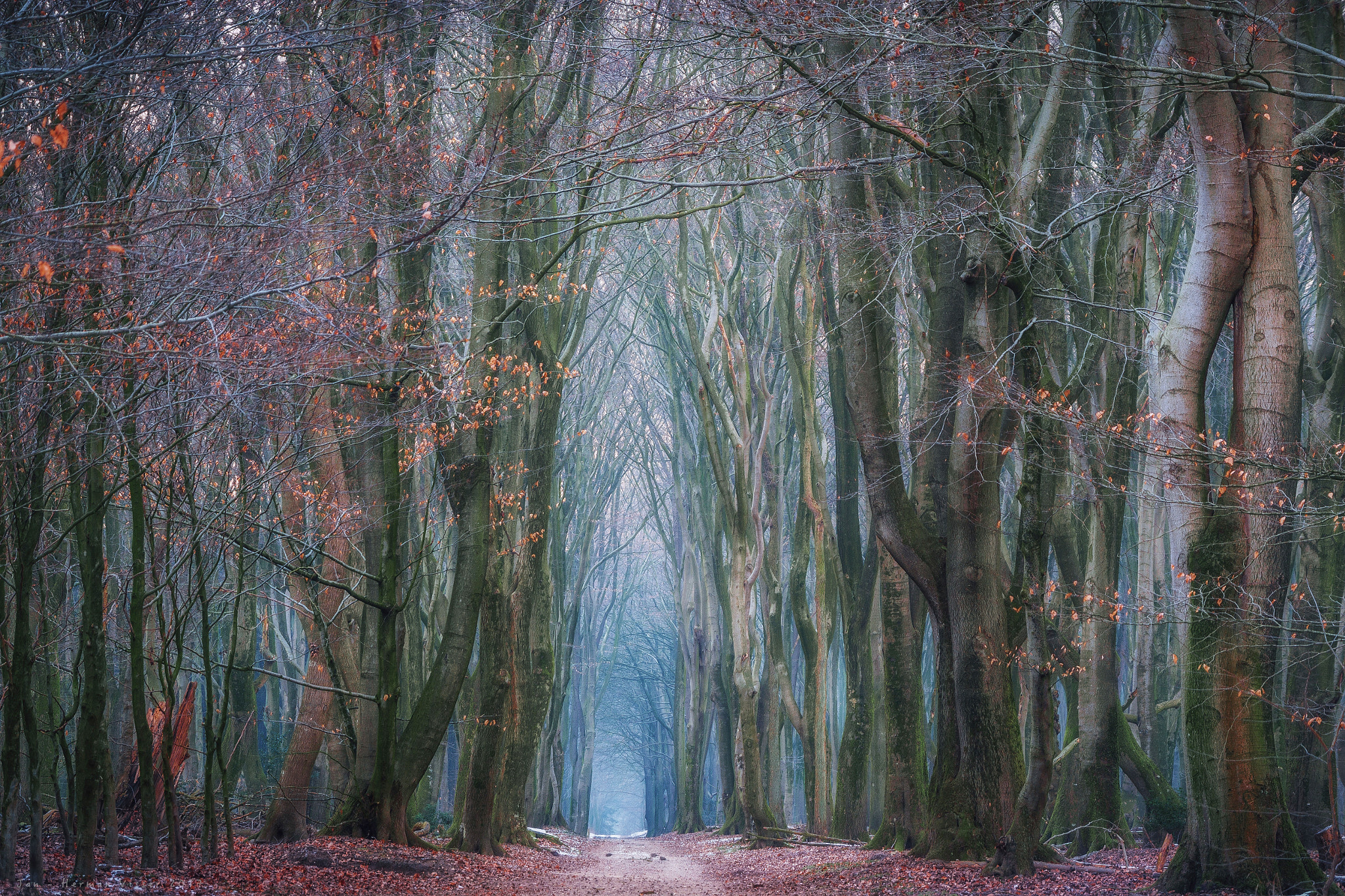 Canon EF 50-200mm f/3.5-4.5 sample photo. Winter colours photography