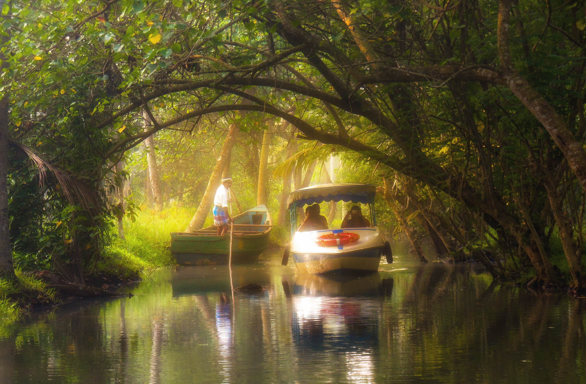 Nikon Coolpix S6300 sample photo. Mangroves photography