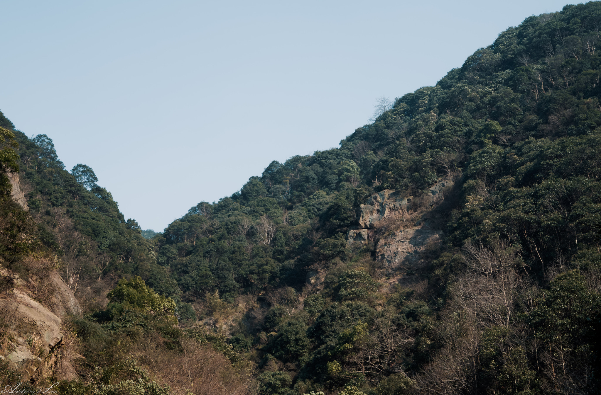 Pentax K-50 sample photo