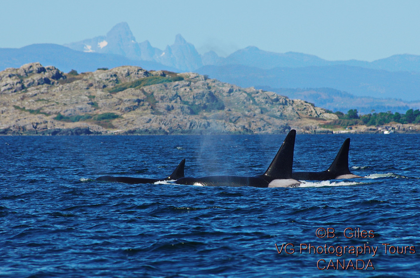 Pentax K-5 IIs sample photo. Orca and mountains photography