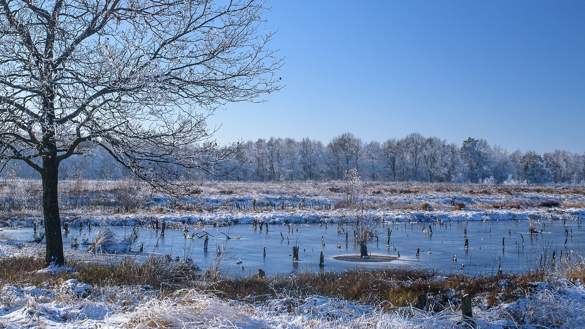 AF Nikkor 35mm f/2 sample photo. Moor winter #3 photography