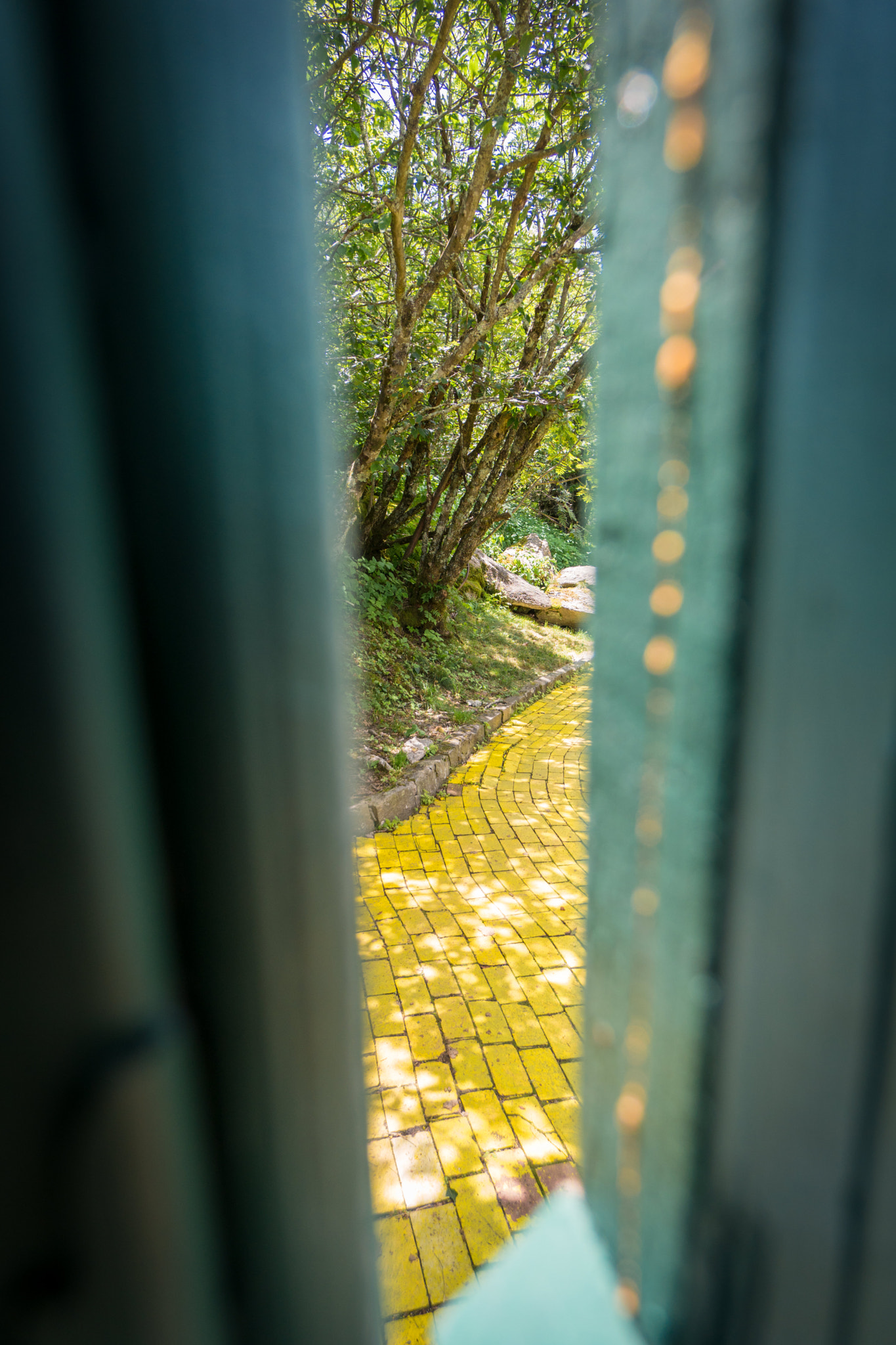 Sony a6300 sample photo. "hidden yellow brick road" #photojambo photography