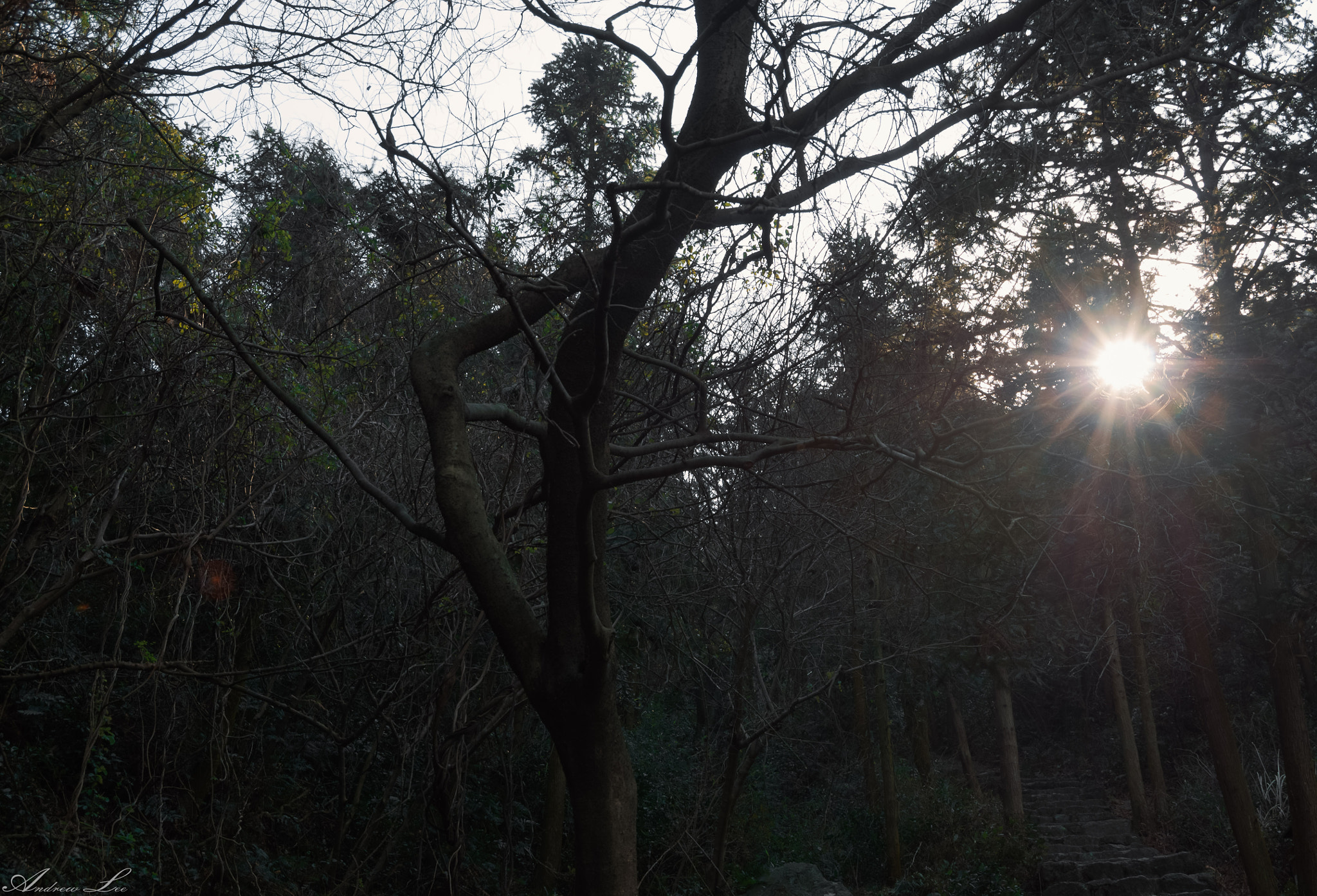 Pentax K-50 sample photo