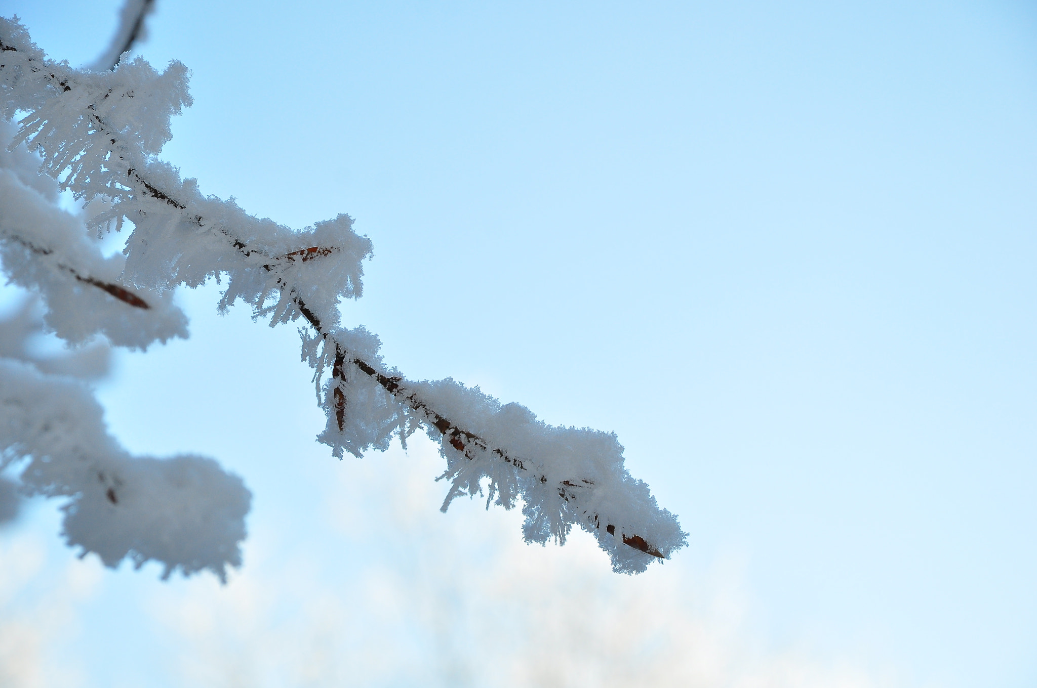 Nikon D5000 sample photo. Frienisberg photography