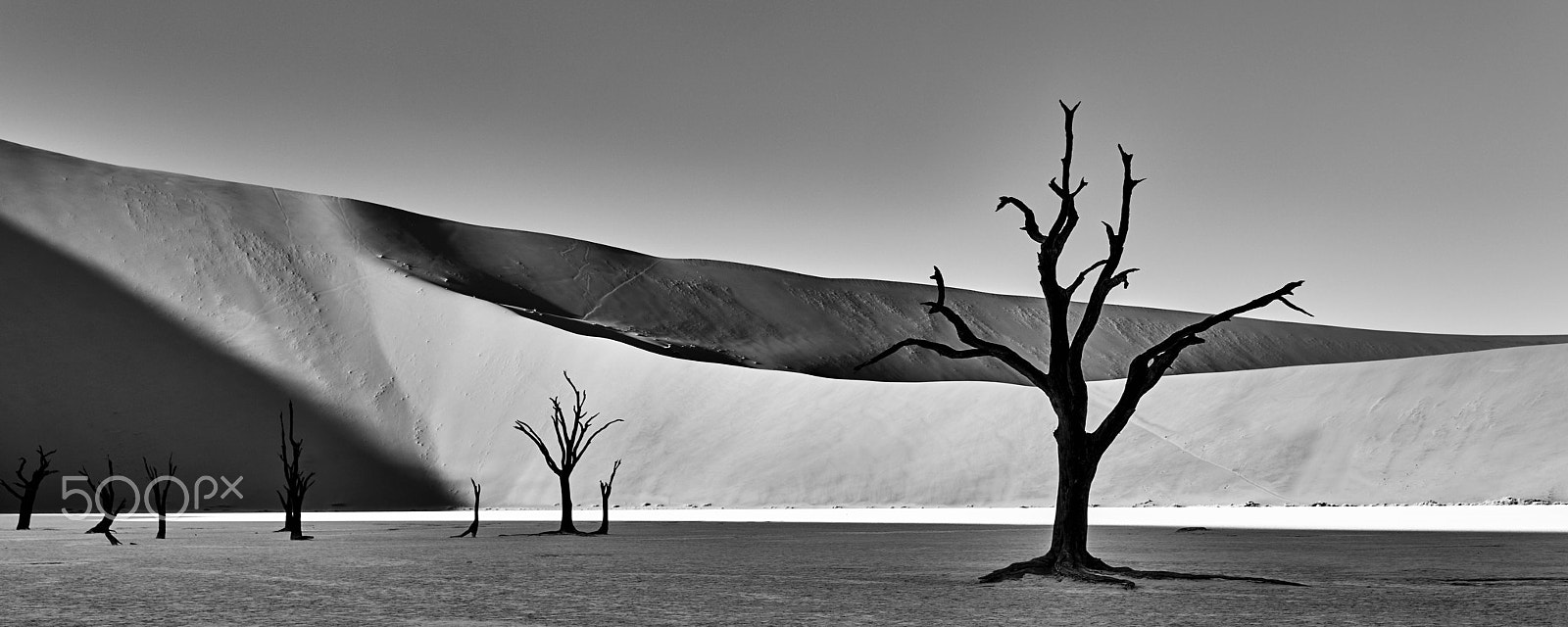 Sony Sonnar T* FE 55mm F1.8 ZA sample photo. Deadvlei v photography