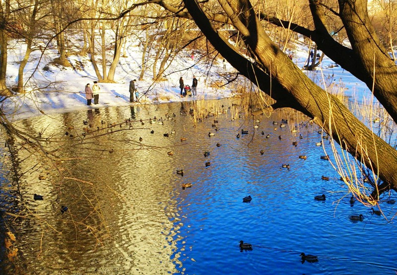 Sony Xperia V sample photo. З днем Соборності України! photography