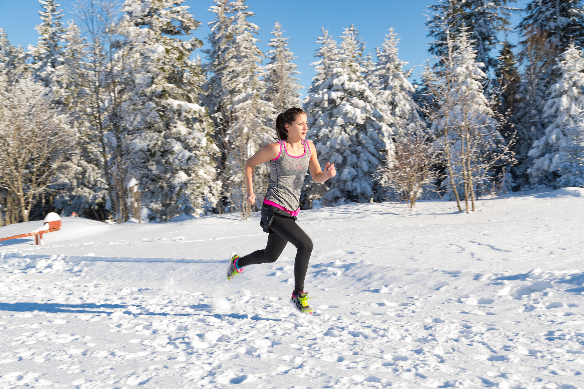 Canon EOS-1D X Mark II sample photo. Run an snow photography