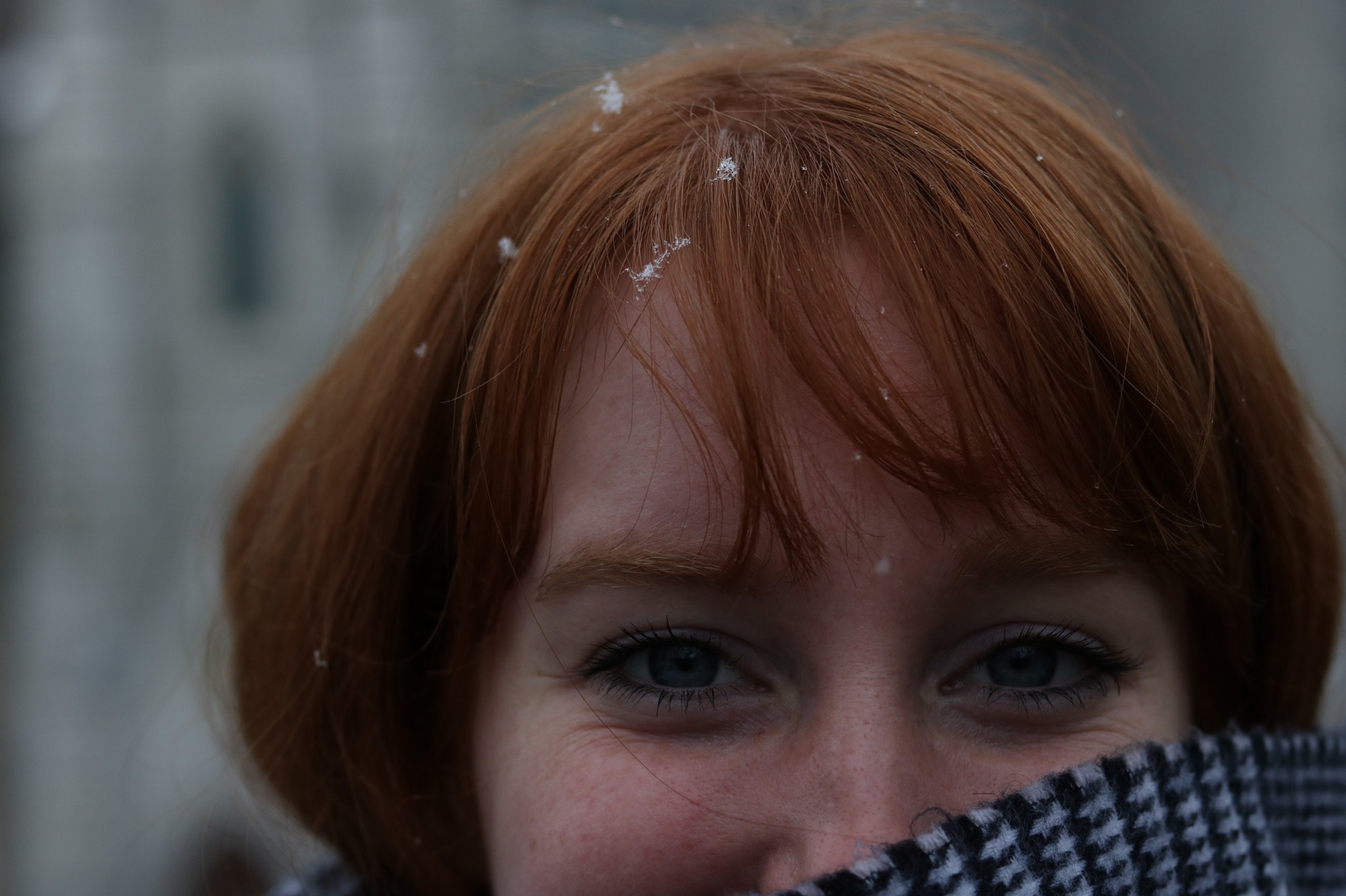 Canon EOS 760D (EOS Rebel T6s / EOS 8000D) sample photo. Winter eyes. photography