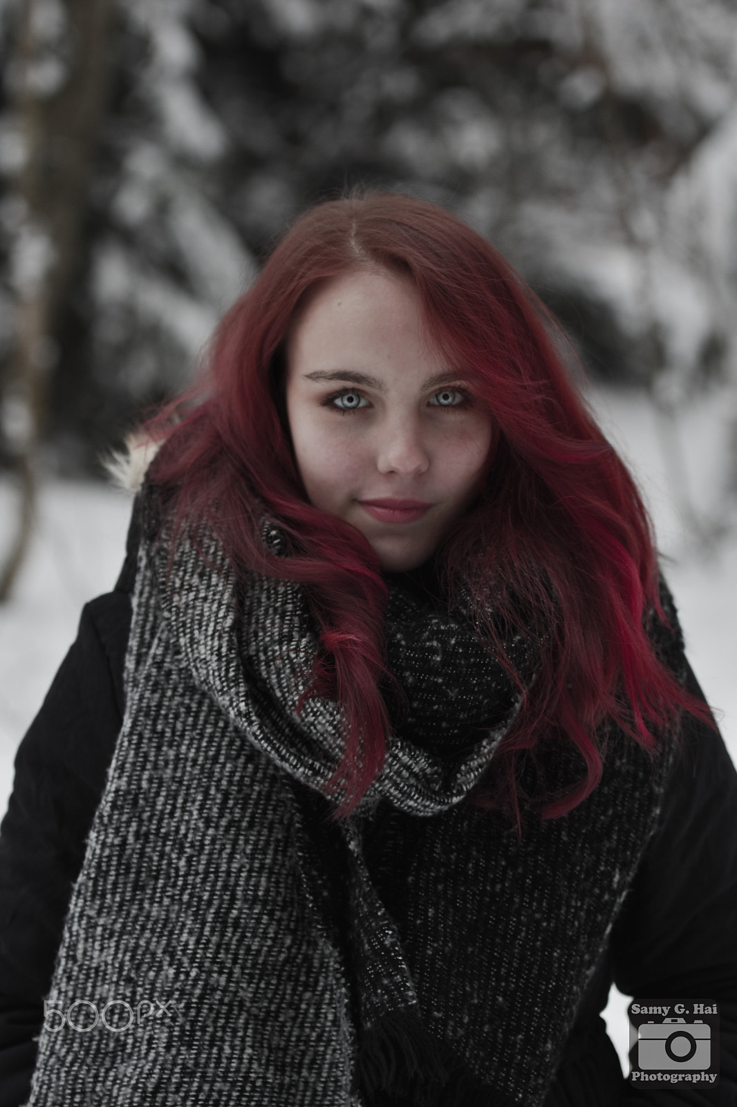 Nikon D5500 sample photo. Red winter photography
