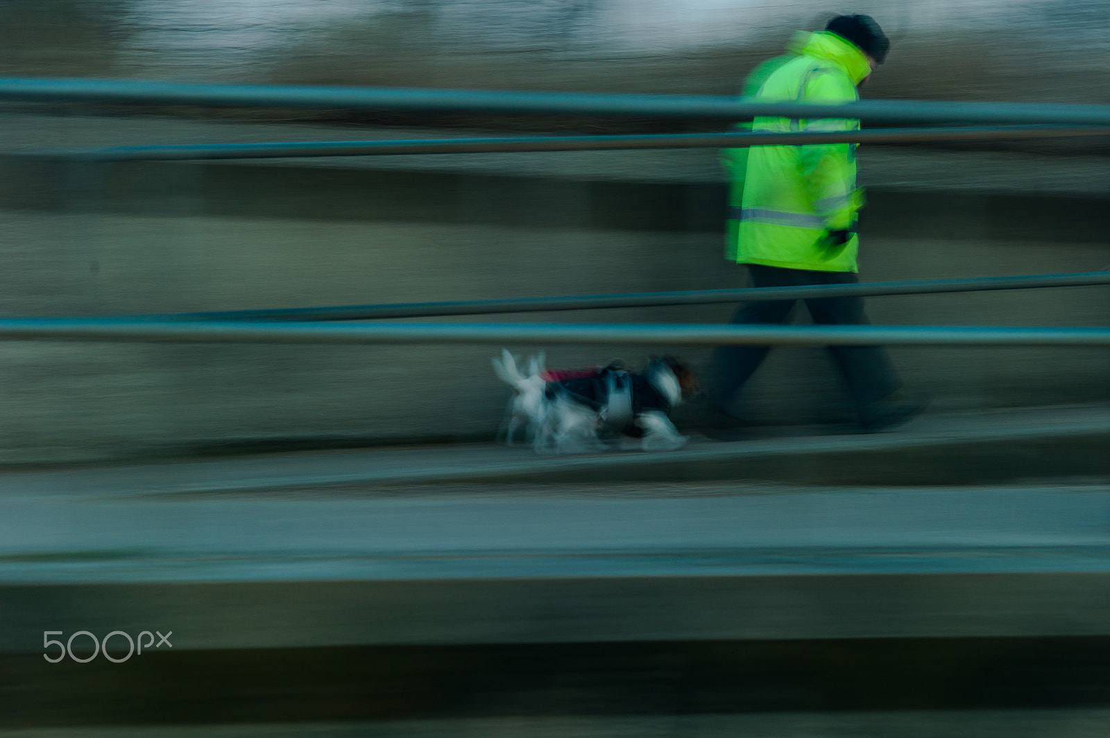 Leica M9 + Leica Summarit-M 75mm F2.5 sample photo. Follow the leader.  uk.  skegness.photo jaimanuel freire photography