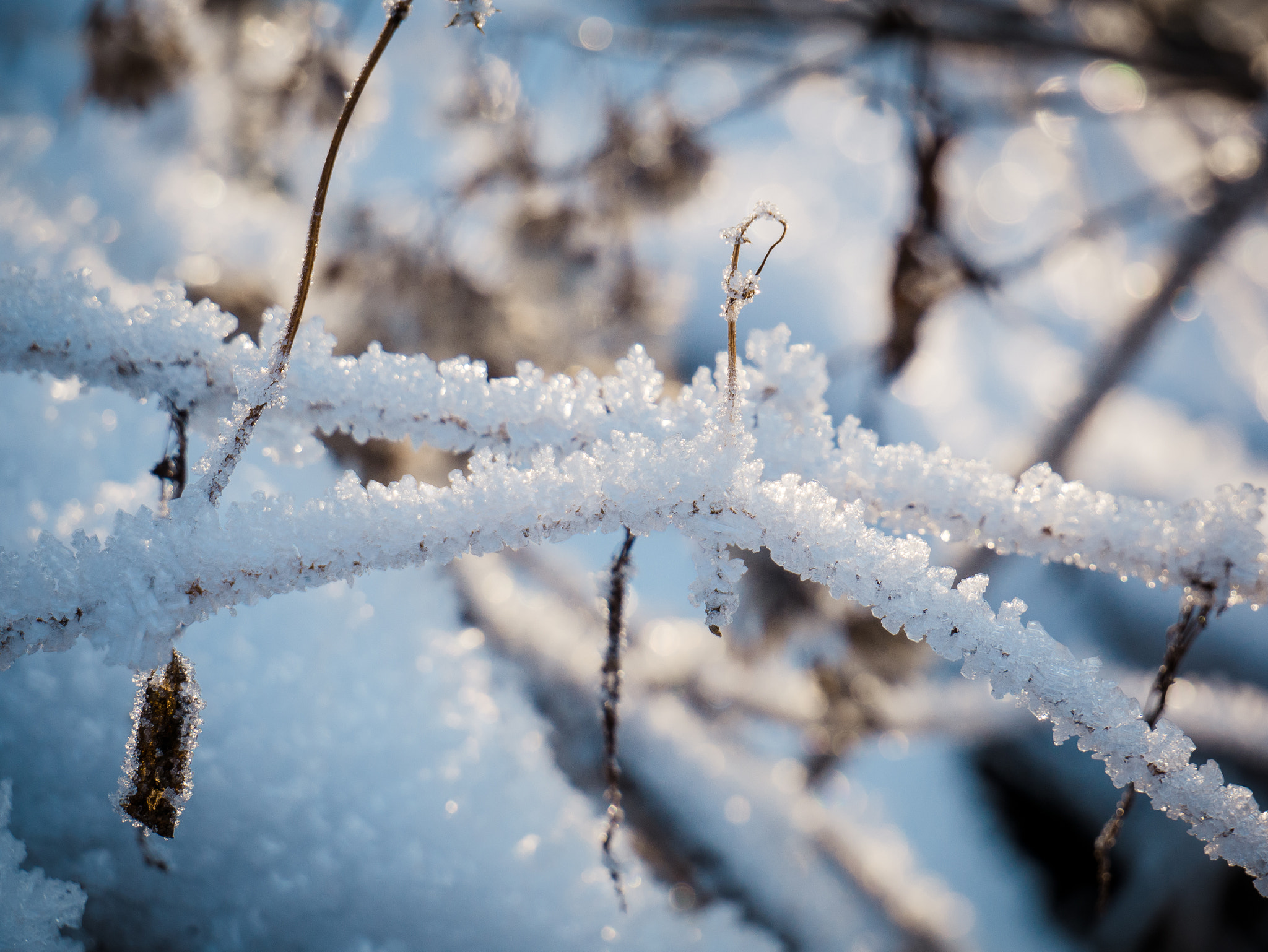 Panasonic DMC-G81 sample photo. Snow crystals photography