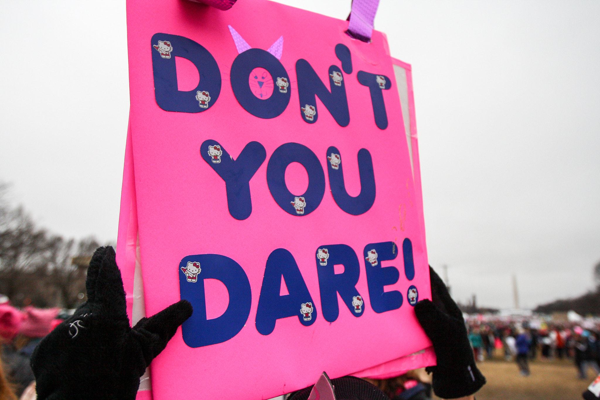 Canon EOS 1000D (EOS Digital Rebel XS / EOS Kiss F) sample photo. Women's march ed photography
