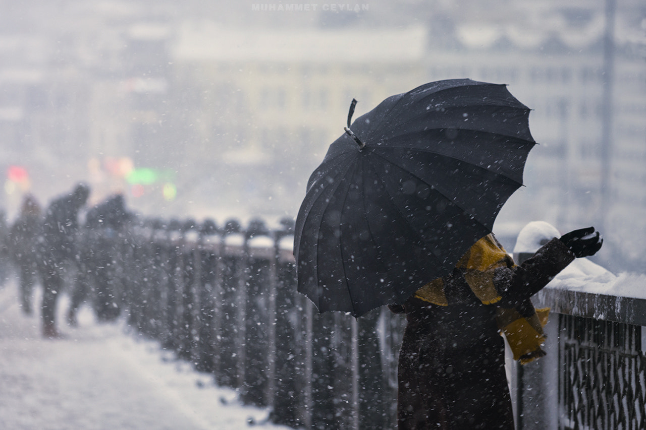 Nikon AF-S Nikkor 70-200mm F4G ED VR sample photo. Winter photography