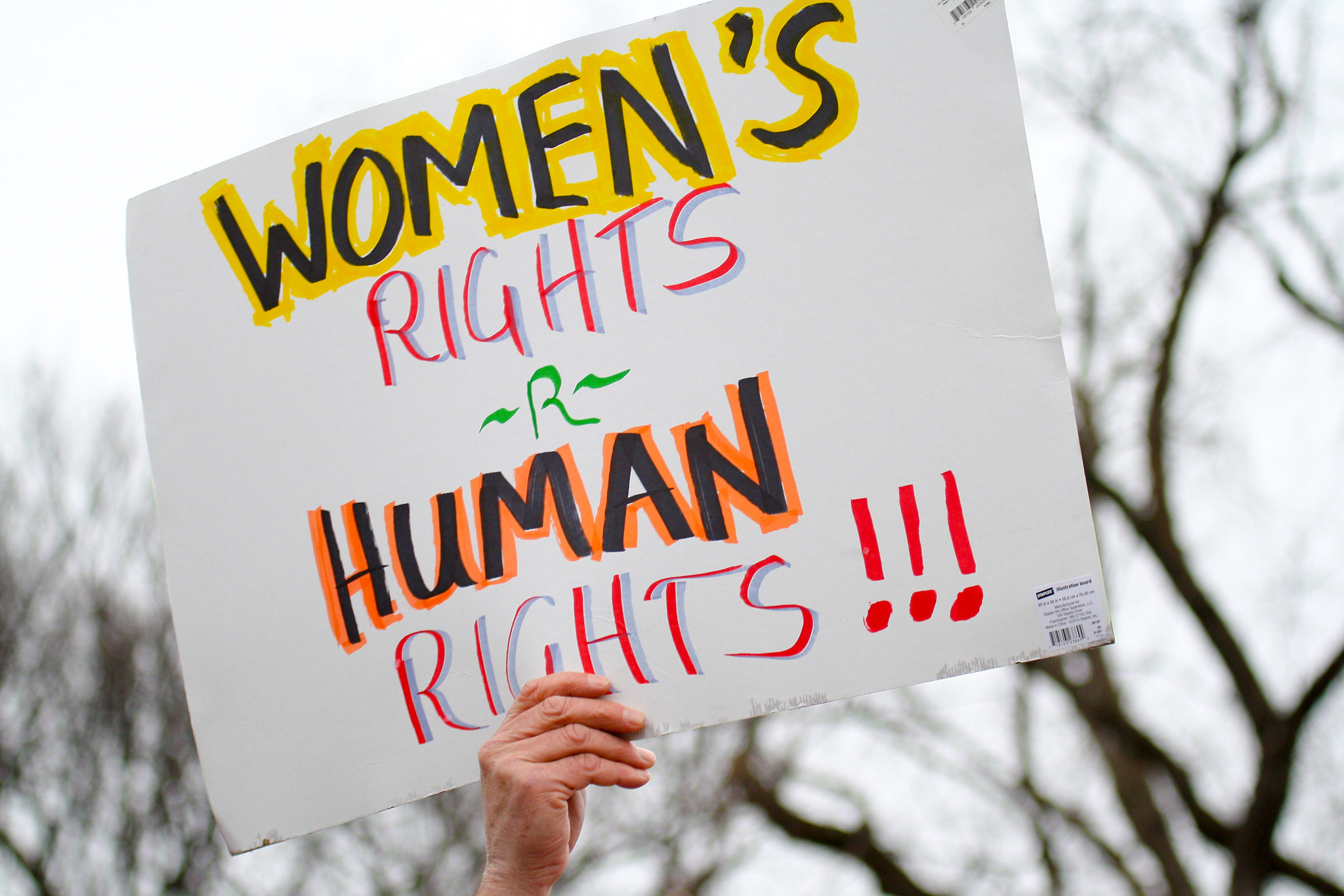 Canon EF 100-400mm F4.5-5.6L IS USM sample photo. Women's march ed photography