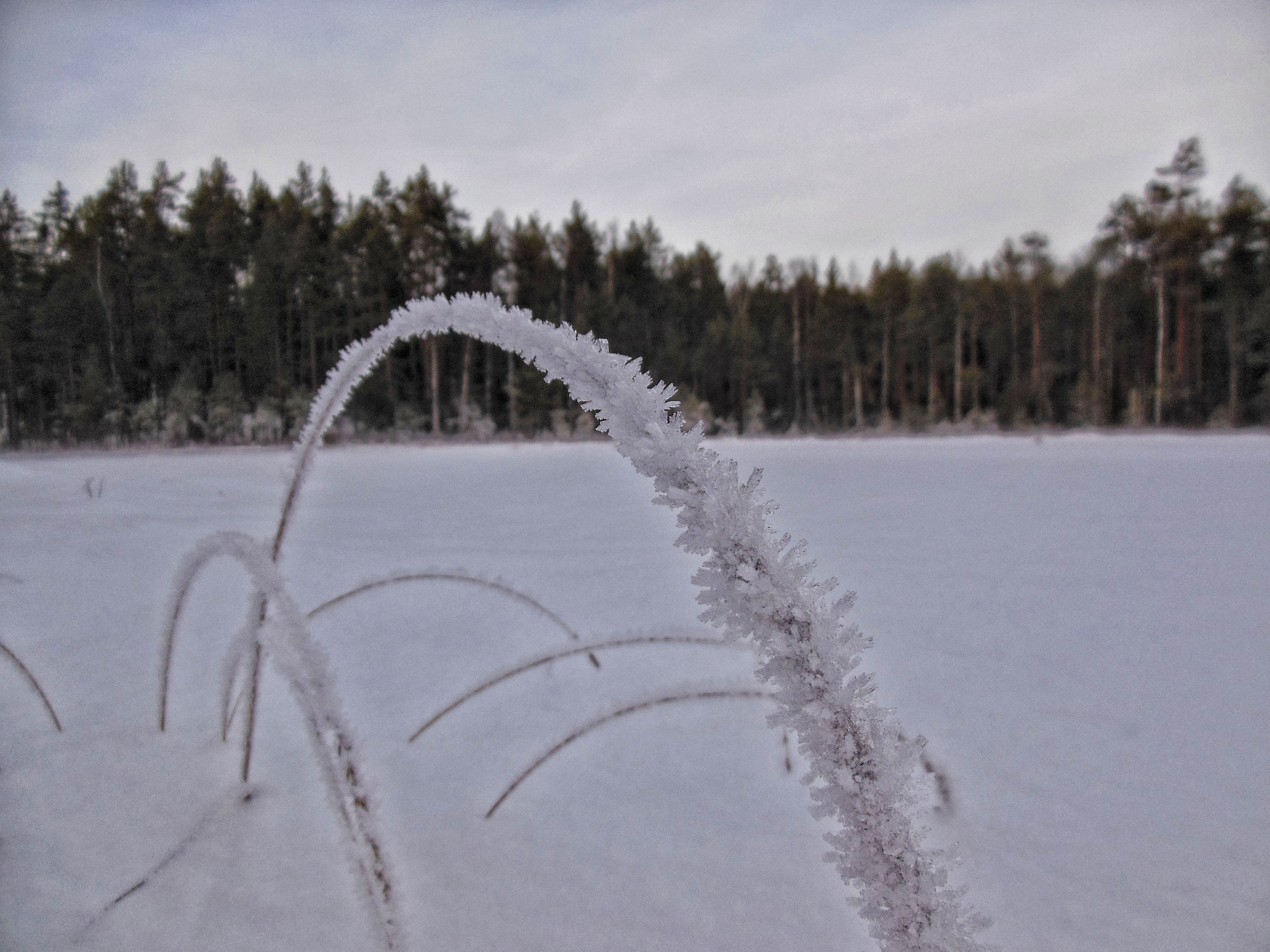 Nikon Coolpix S6300 sample photo. Ice pick photography