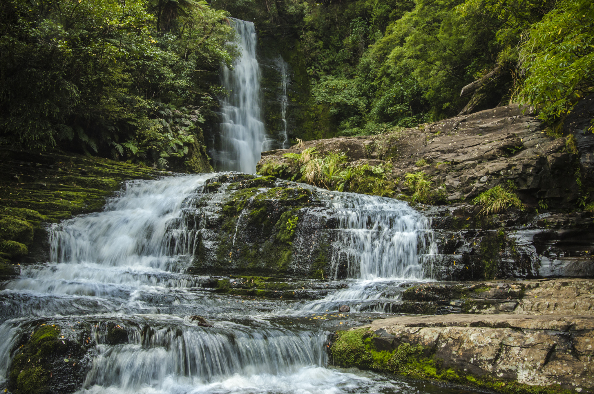 Pentax K-30 + Sigma 18-35mm F1.8 DC HSM Art sample photo. Source of life photography