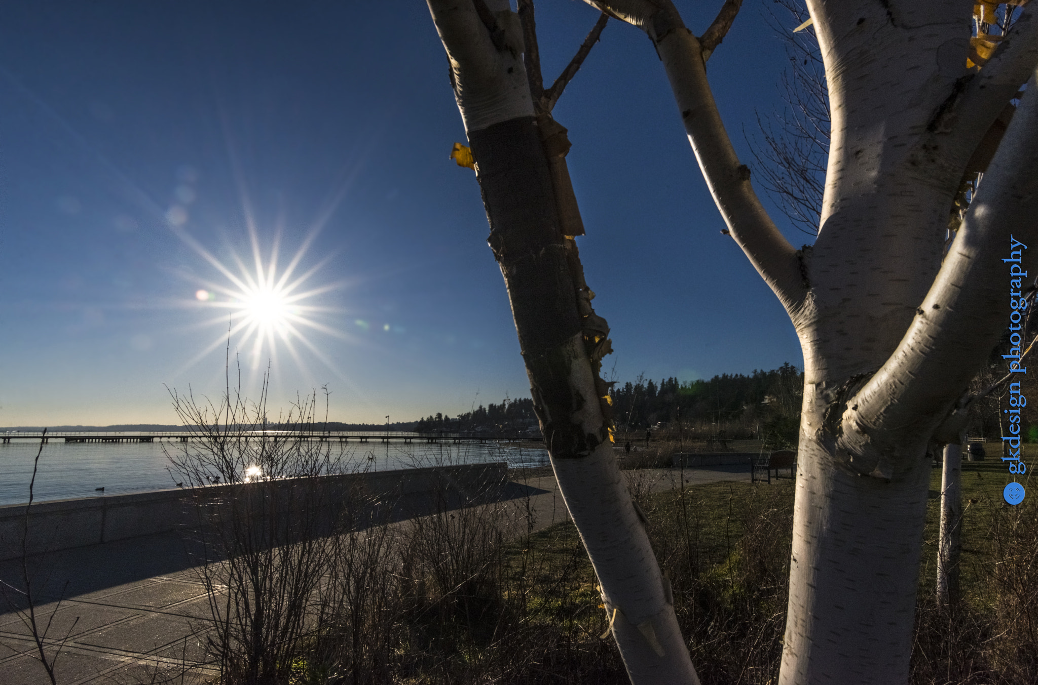 Nikon D610 sample photo. Beach tree and sun photography