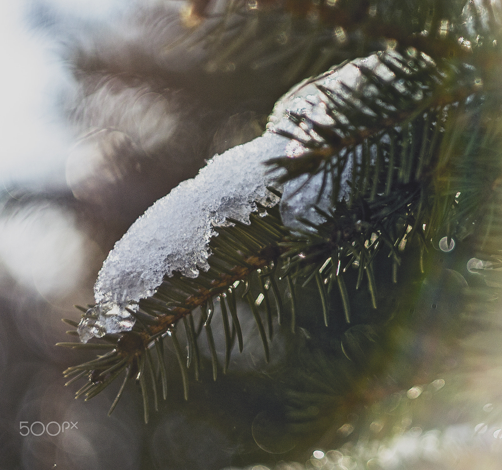 Canon EF 35-80mm f/4-5.6 sample photo. Winter photography