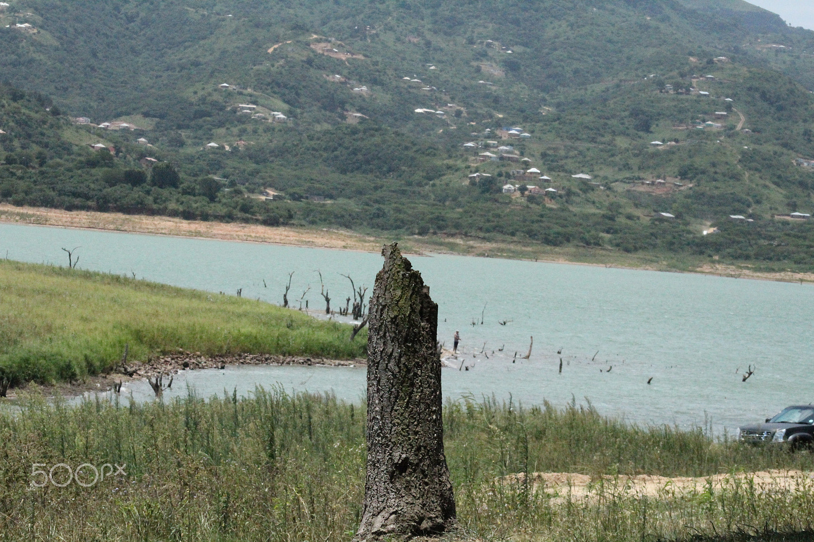 Canon EF 75-300mm f/4-5.6 USM sample photo. Tree stump photography