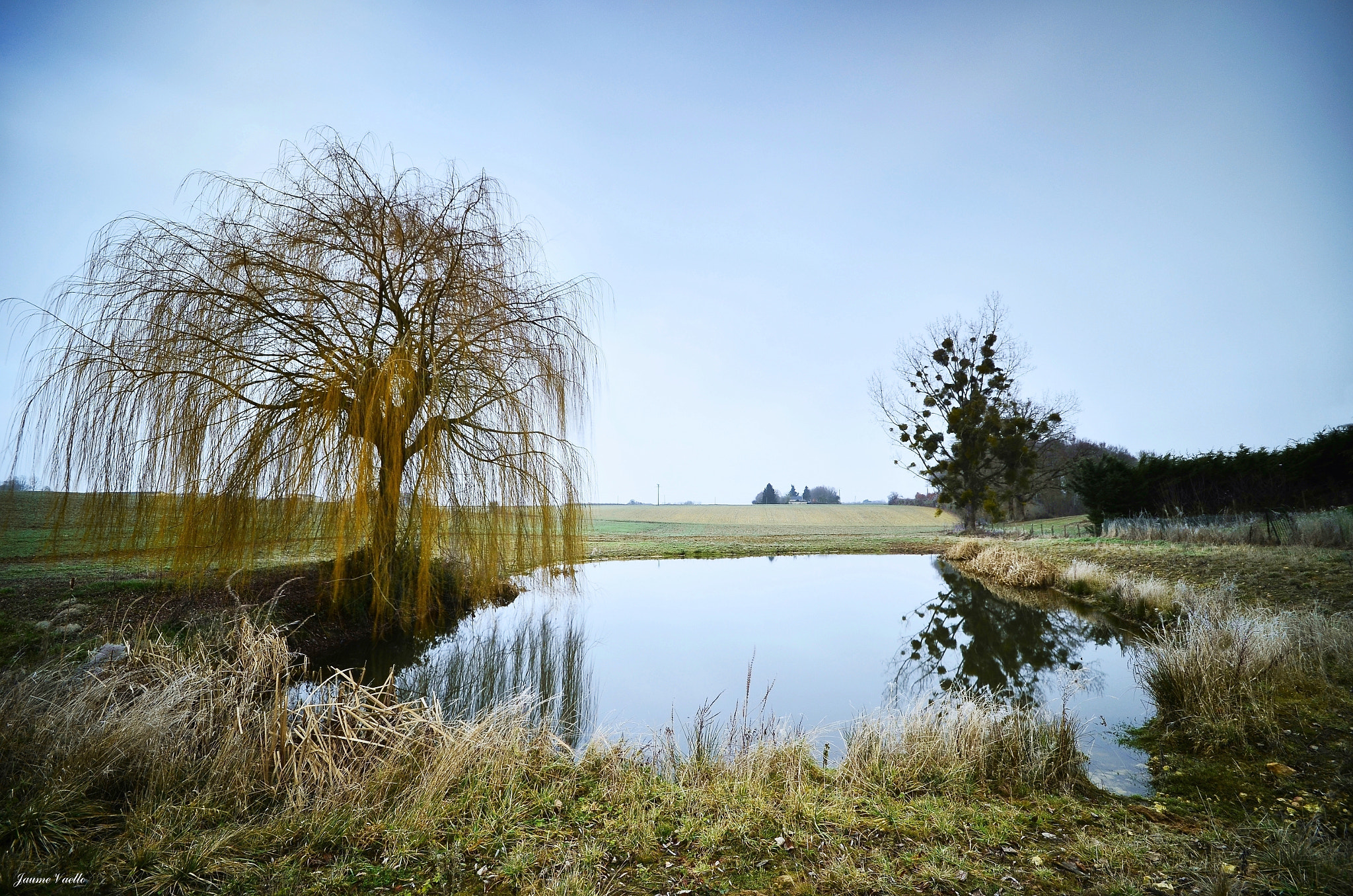 Sigma 10-20mm F4-5.6 EX DC HSM sample photo. Rincones del loira 002 photography