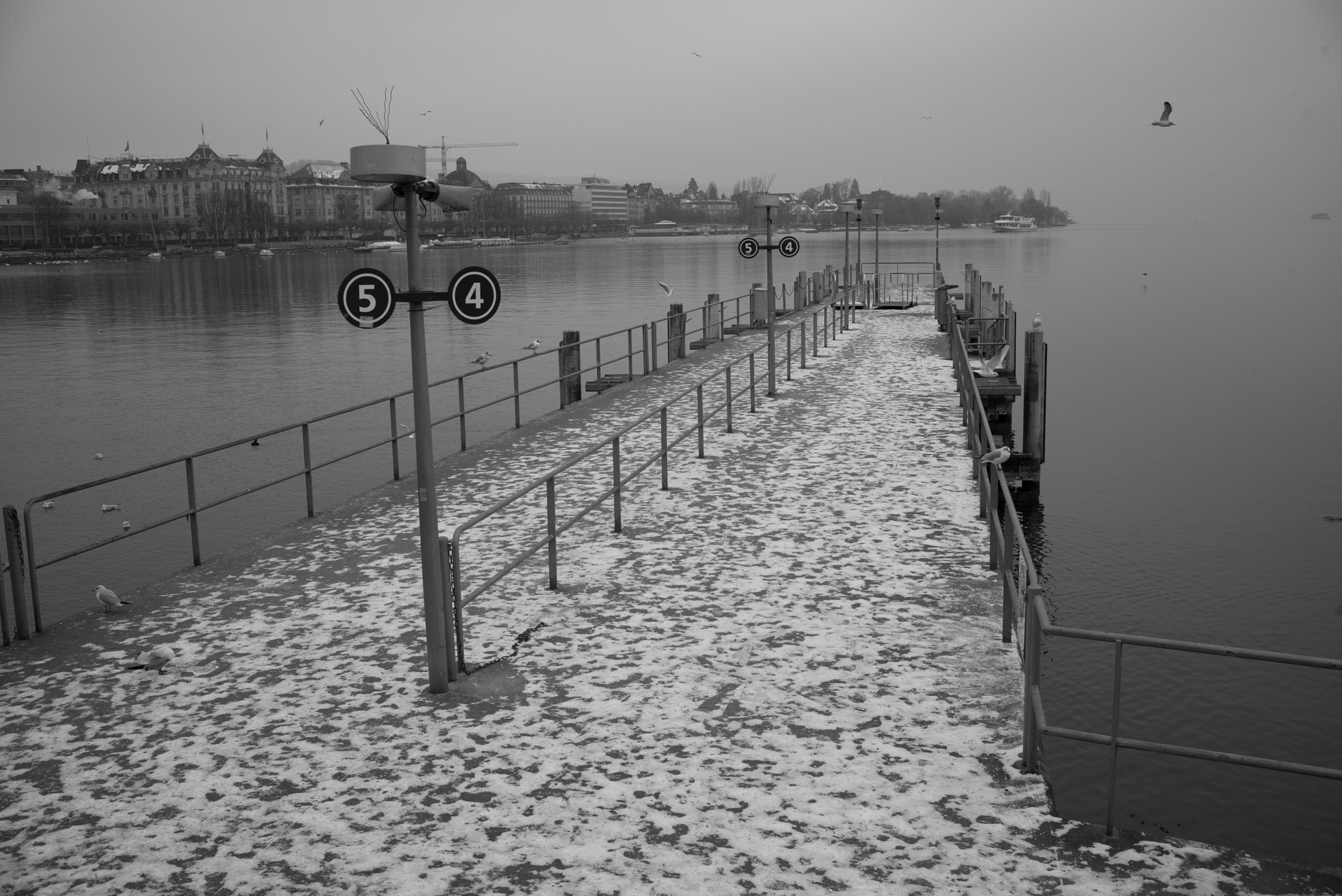 Leica Summilux-M 35mm F1.4 ASPH sample photo. Winter in zürich photography