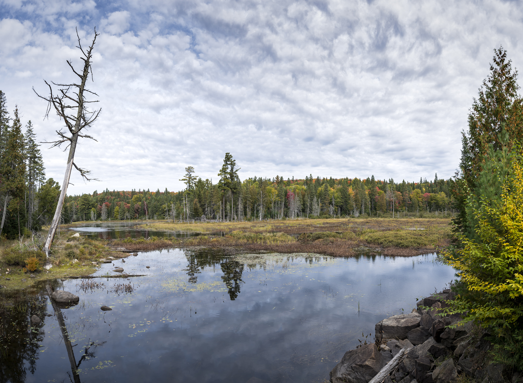 Nikon PC-E Nikkor 24mm F3.5D ED Tilt-Shift sample photo. A view in algonquin park... photography
