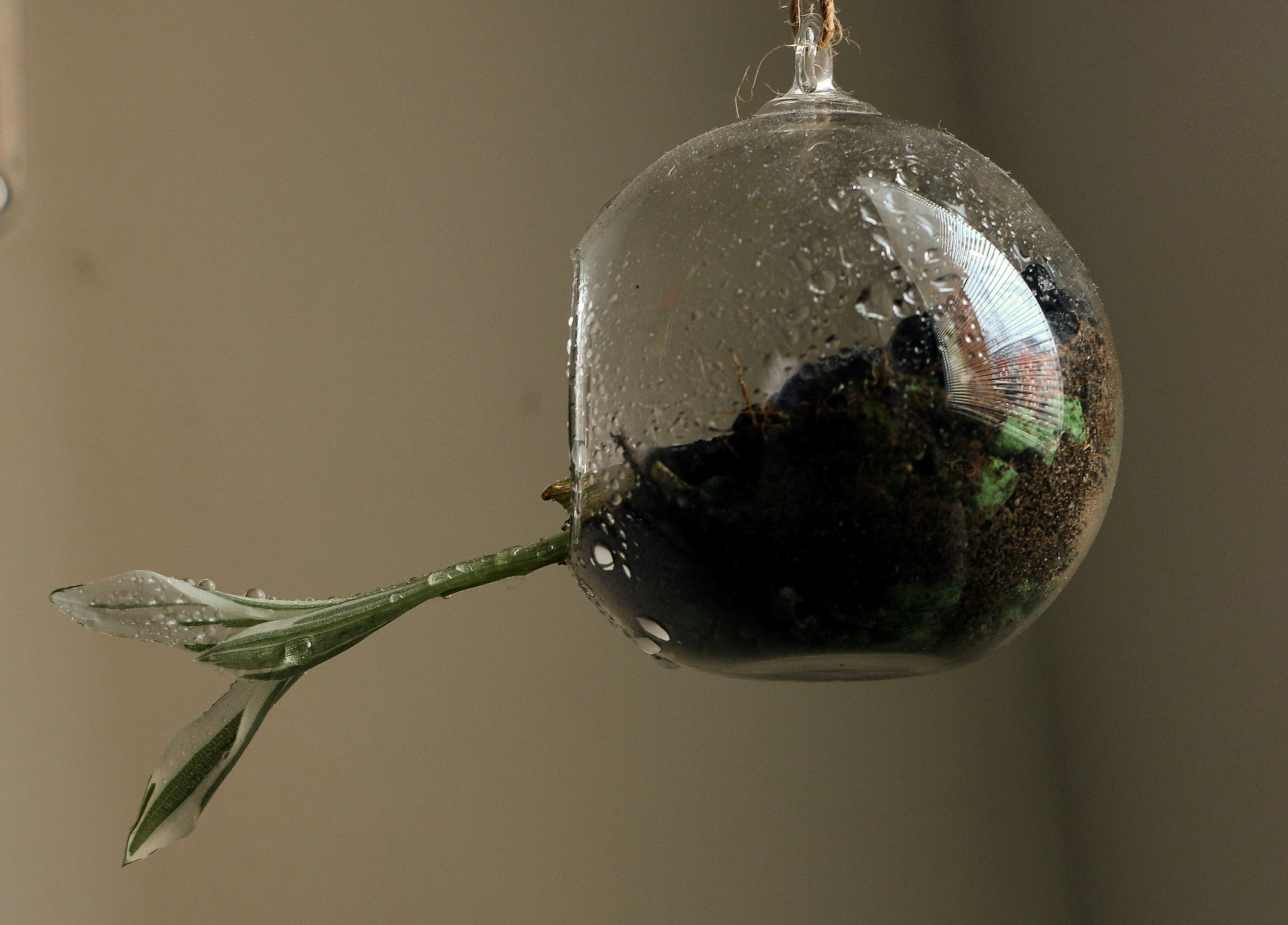 18.0 - 135.0 mm sample photo. Cool window reflection! photography