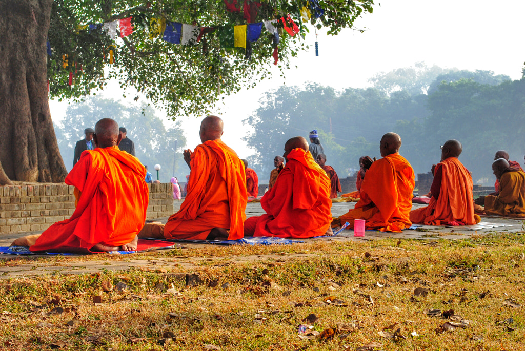 Monks praying in the morning by Baia Dzagnidze on 500px.com