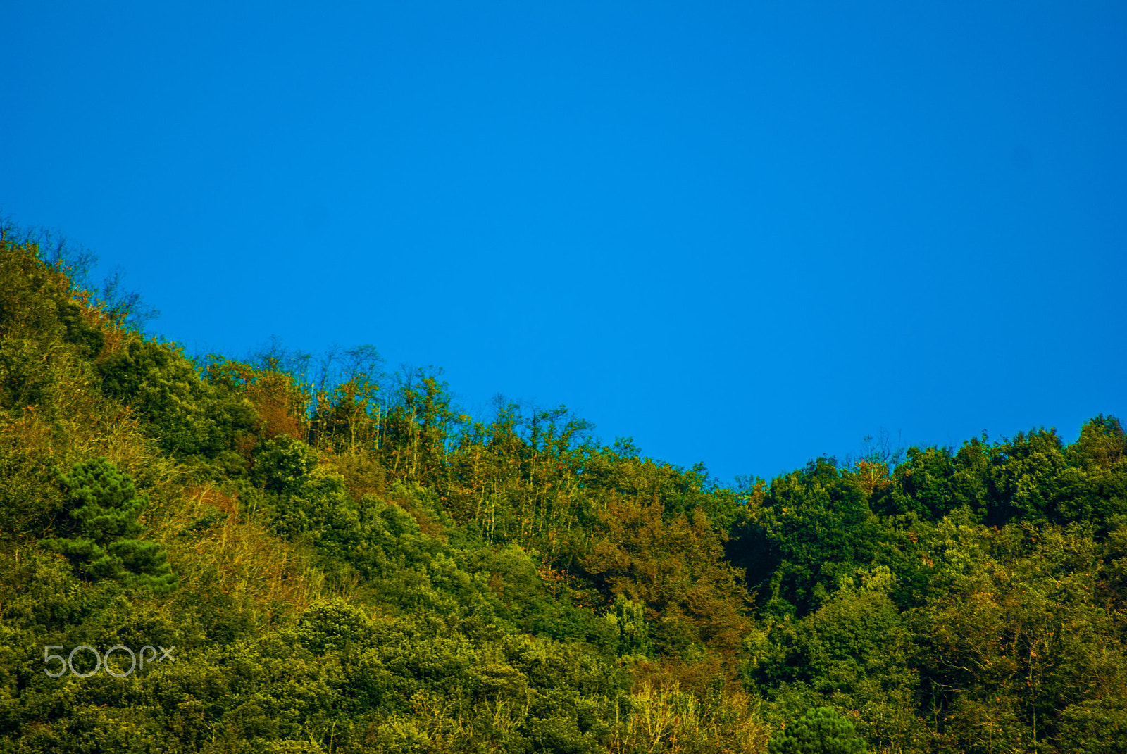 Sony Alpha DSLR-A330 sample photo. Modded sony photography