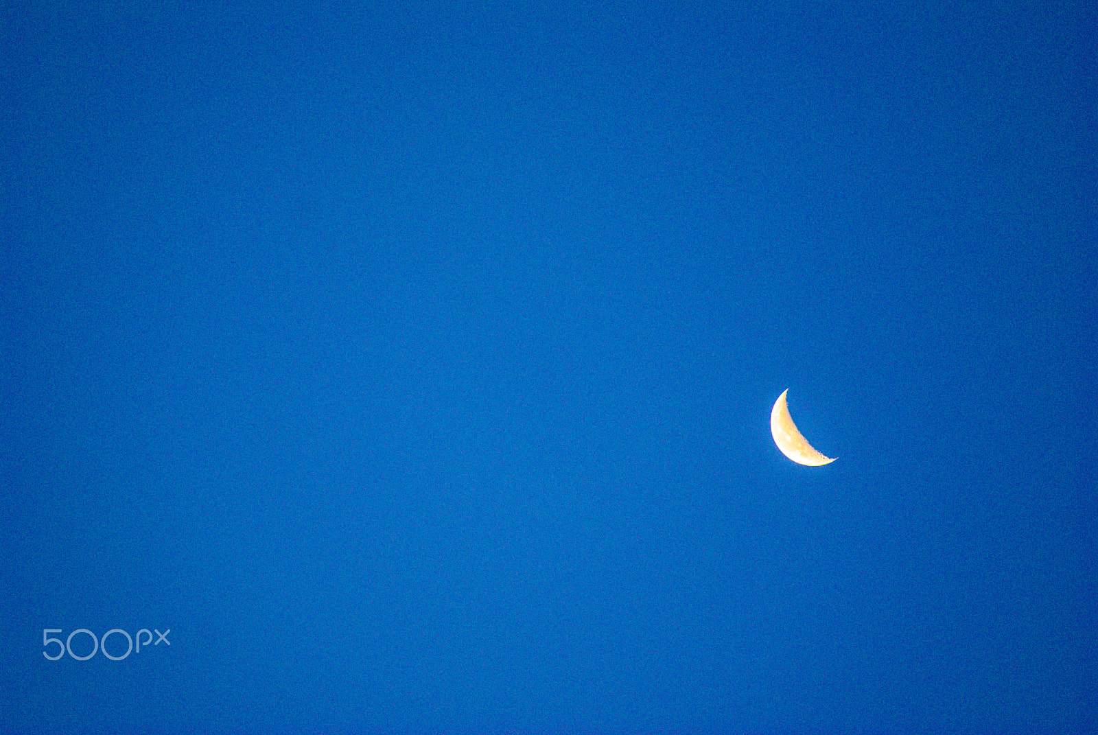Sony Alpha DSLR-A330 sample photo. Modded sony photography