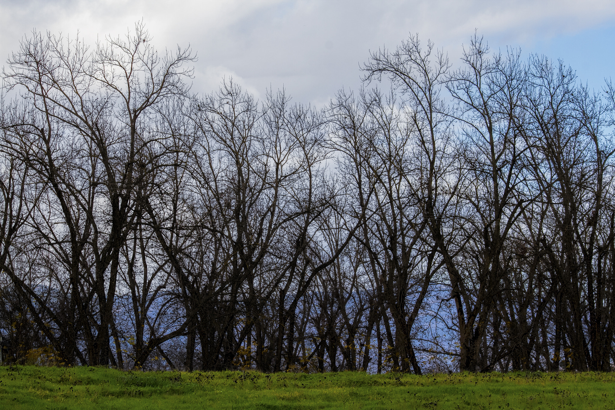 Sigma 70-300mm F4-5.6 APO DG Macro sample photo. Img photography