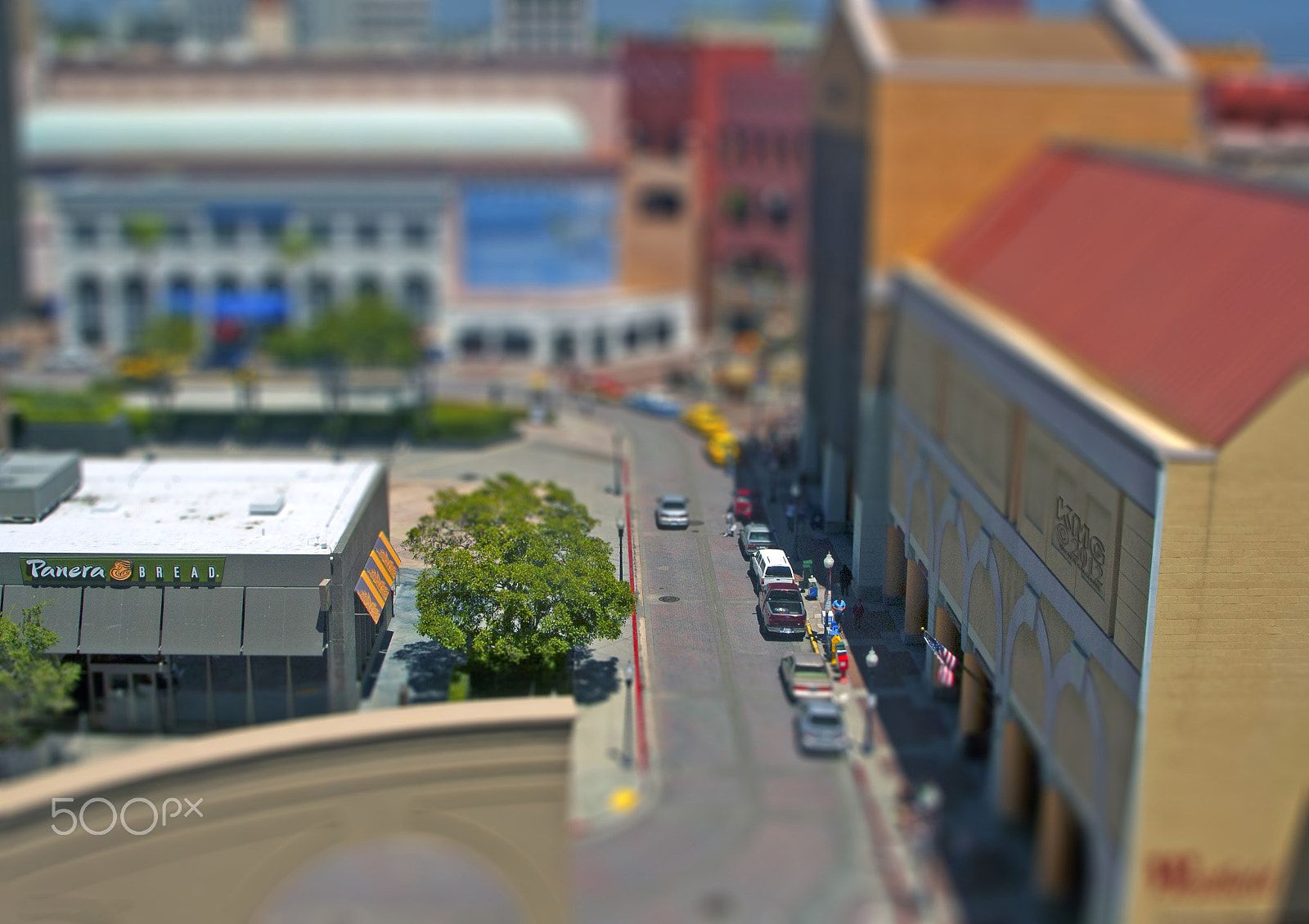 Nikon D70s sample photo. Panera in miniature o photography